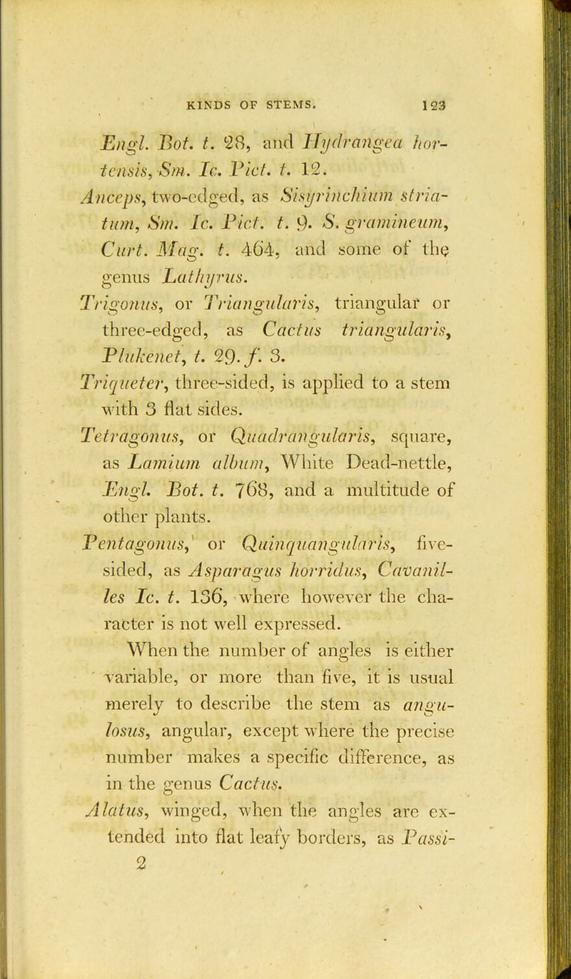 Engl. Bot. t. 28, and Hydrangea hor- tensis,Sm. Ic. Piet. t. 12. Anceps, two-edged, as Sisyrincliium stria- tam, Sm. Ic. Piet. t. 9- S. gramineum. Cart. Mag. t. 464, and some of the genus Lathyrus. Trigonas, or Triangularis, triangular or three-edged, as C act as triangularis, Plukenet, 29- f. 3. Triqueter, three-sided, is applied to a stem with 3 flat sides. Tetragonus, or Quadrangularis, square, as Lamium album, White Dead-nettle, Engl. Bot. t. 768, and a multitude of other plants. Pcntagonus, or Quinqiiangularis, five- sided, as Asparagus liorridus, Cavanil- les Ic. t. 136, where however the cha- racter is not well expressed. When the number of angles is either variable, or more than five, it is usual merely to describe the stem as angu- /osws, angular, except where the precise number makes a specific difference, as in the genus Cactus. Alatus, winged, when the angles are ex- tended into flat leafy borders, as Passi- 2