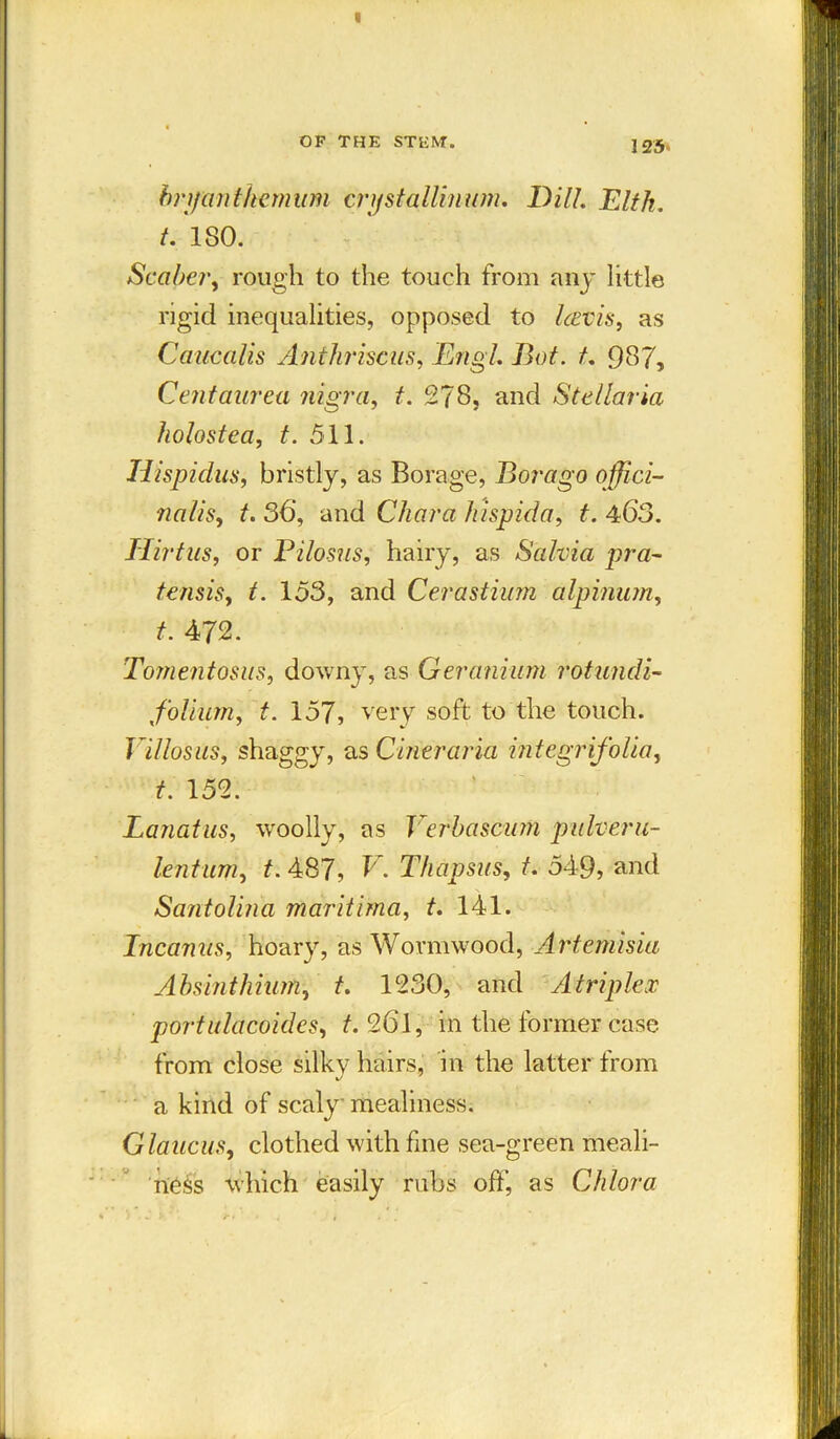 125‘ bryantkemum crystaUinum. DHL Eltk. t. 180. Sea be?', rough to the touch from any little rigid inequalities, opposed to Icevis, as Caucalis Anthriscus, Engl. But. t. 987, Centaurea nigra, t. 278, and Stellaria holostea, t. 511. Iiispidus, bristly, as Borage, Borago offici- nalis, t. 36, and Chara hispida, t. 463. Hirtus, or Pilosus, hairy, as Salvia pra- tensis, t. 153, and Cerastium alpinum, t. 472. Tornejitosus, downy, as Geranium rotmidi- foliurn, t. 157, very soft to the touch. Villosus, shaggy, as Cineraria integrifolia, t. 152. Lanatus, woolly, as Verbascum pulveru- lentum, t. 487, V. Thapsus, t. 549, and Santolina maritima, t. 141. Incamis, hoary, as Wormwood, Artemisia Absinthium, t. 1230, and A triplex portulacoides, t. 26l, in the former case from close silky hairs, in the latter from a kind of scaly mealiness. Glaucus, clothed with fine sea-green meali- ness which easily rubs off, as Chlora