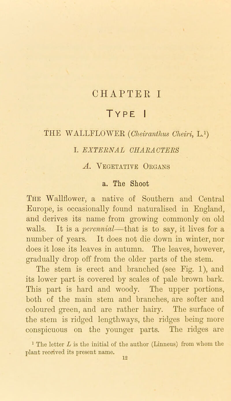 CHAPTER I Type I THE WALLFLOWER (Cheiranthus Gheiri, L.1) I. EXTERNAL CHARACTERS A. Vegetative Okgans a. The Shoot The Wallflower, a native of Southern and Central Europe, is occasionally found naturalised in England, and derives its name from growing commonly on old walls. It is a perennial—that is to say, it lives for a number of years. It does not die down in winter, nor does it lose its leaves in autumn. The leaves, however, gradually drop off from the older parts of the stem. The stem is erect and branched (see Fig. 1), and its lower part is covered by scales of pale brown bark. This part is hard and woody. The upper portions, both of the main stem and branches, are softer and coloured green, and are rather hairy. The surface of the stem is ridged lengthways, the ridges being more conspicuous on the younger parts. The ridges are 1 The letter L is the initial of the author (Linneus) from whom the plant received its present name.