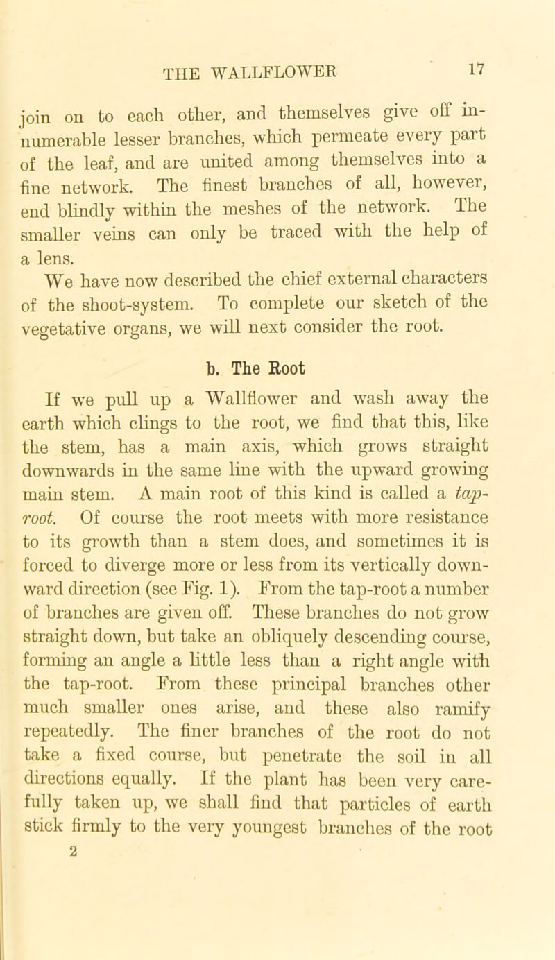 join on to each other, and themselves give off in- numerable lesser branches, which permeate every part of the leaf, and are united among themselves into a fine network. The finest branches of all, however, end blindly within the meshes of the network. The smaller veins can only be traced with the help of a lens. We have now described the chief external characters of the shoot-system. To complete our sketch of the vegetative organs, we will next consider the root. b. The Root If we pull up a Wallflower and wash away the earth which clings to the root, we find that this, like the stem, has a main axis, which grows straight downwards in the same line with the upward growing main stem. A main root of this kind is called a tap- root. Of course the root meets with more resistance to its growth than a stem does, and sometimes it is forced to diverge more or less from its vertically down- ward direction (see Fig. 1). From the tap-root a number of branches are given off. These branches do not grow straight down, but take an obliquely descending course, forming an angle a little less than a right angle with the tap-root. From these principal branches other much smaller ones arise, and these also ramify repeatedly. The finer branches of the root do not take a fixed course, but penetrate the soil in all directions equally. If the plant has been very care- fully taken up, we shall find that particles of earth stick firmly to the very youngest branches of the root 2