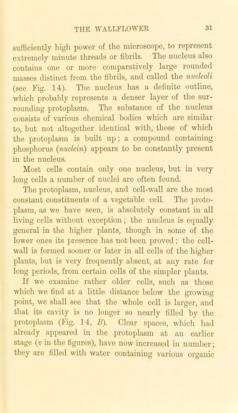 sufficiently high power of the microscope, to represent extremely minute threads or fibrils. The nucleus also contains one or more comparatively large rounded masses distinct from the fibrils, and called the nucleoli (see Fig. 14). The nucleus has a definite outline, which probably represents a denser layer of the sur- rounding protoplasm. The substance of the nucleus consists of various chemical bodies which are similar to, but not altogether identical with, those of which the protoplasm is built up; a compound containing phosphorus (nuclein) appears to be constantly present in the nucleus. Most cells contain only one nucleus, but in very long cells a number of nuclei are often found. The protoplasm, nucleus, and cell-wall are the most constant constituents of a vegetable cell. The proto- plasm, as we have seen, is absolutely constant in all living cells without exception; the nucleus is equally general in the higher plants, though in some of the lower ones its presence has not been proved; the cell- wall is formed sooner or later in all cells of the higher plants, but is very frequently absent, at any rate for long periods, from certain cells of the simpler plants. If we examine rather older cells, such as those which we find at a little distance below the growing point, we shall see that the whole cell is larger, and that its cavity is no longer so nearly filled by the protoplasm (Fig. 14, B). Clear spaces, which had already appeared in the protoplasm at an earlier stage (v in the figures), have now increased in number; they are filled with water containing various organic