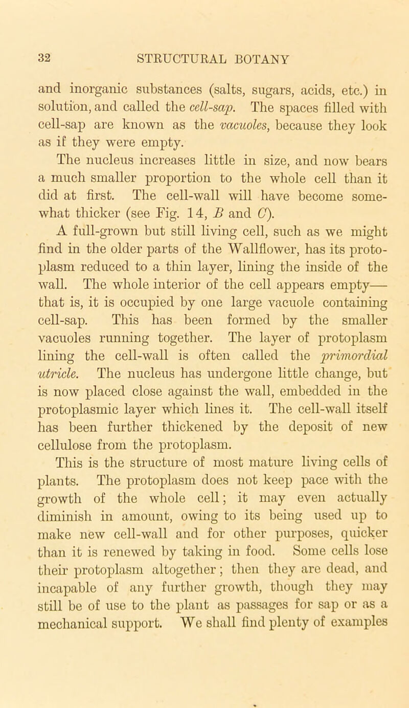 and inorganic substances (salts, sugars, acids, etc.) in solution, and called the ccll-sap. The spaces filled with cell-sap are known as the vacuoles, because they look as if they were empty. The nucleus increases little hi size, and now bears a much smaller proportion to the whole cell than it did at first. The cell-wall will have become some- what thicker (see Fig. 14, B and 0). A full-grown but still living cell, such as we might find in the older parts of the Wallflower, has its proto- plasm reduced to a thin layer, lining the inside of the wall. The whole interior of the cell appears empty— that is, it is occupied by one large vacuole containing cell-sap. This has been formed by the smaller vacuoles running together. The layer of protoplasm lining the cell-wall is often called the primordial utricle. The nucleus has undergone little change, but is now placed close against the wall, embedded in the protoplasmic layer which lines it. The cell-wall itself has been further thickened by the deposit of new cellulose from the protoplasm. This is the structure of most mature living cells of plants. The protoplasm does not keep pace with the growth of the whole cell; it may even actually diminish in amount, owing to its being used up to make new cell-wall and for other purposes, quicker than it is renewed by taking in food. Some cells lose their protoplasm altogether; then they are dead, and incapable of any further growth, though they may still be of use to the plant as passages for sap or as a mechanical support. We shall find plenty of examples