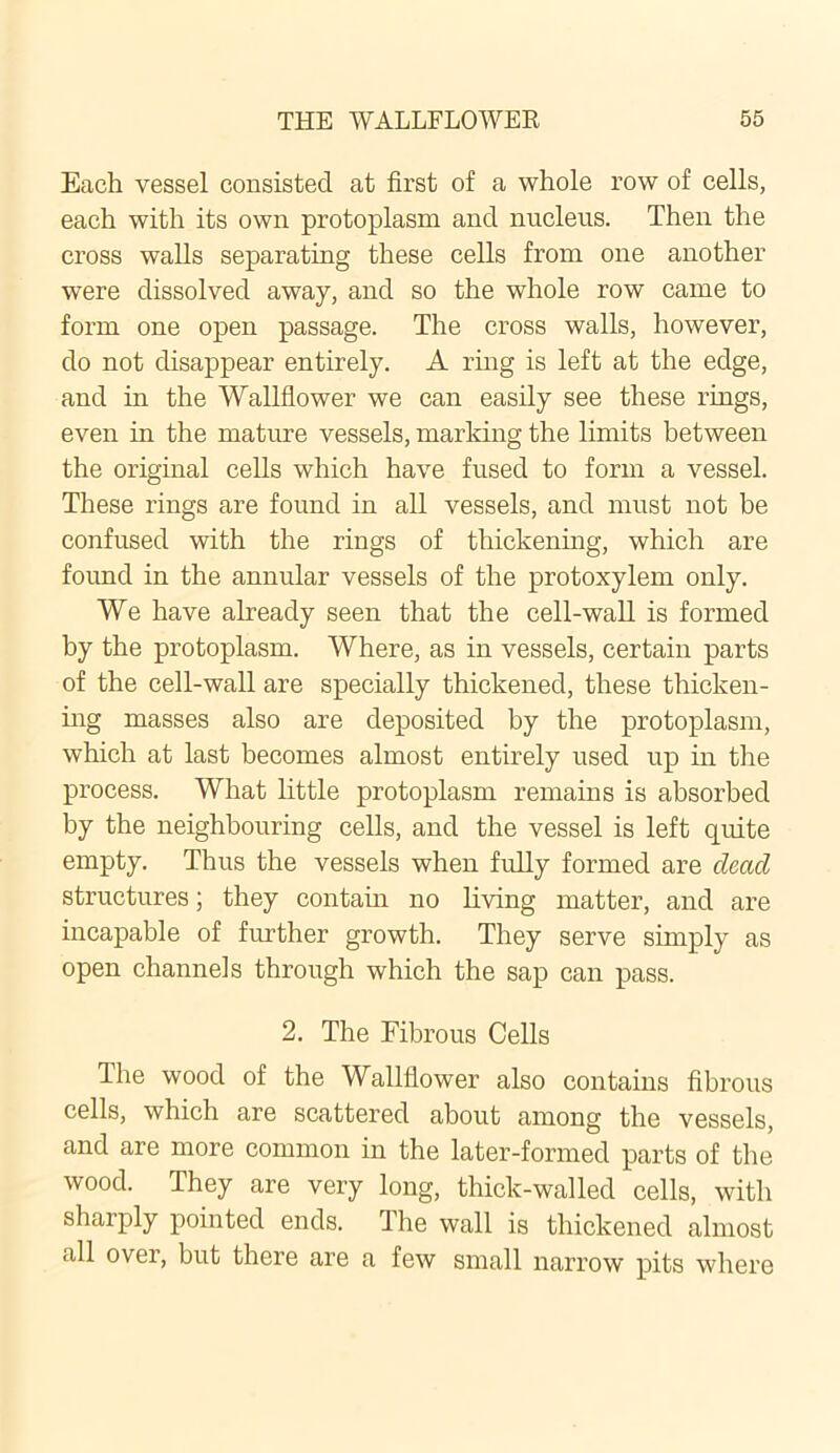 Each vessel consisted at first of a whole row of cells, each with its own protoplasm and nucleus. Then the cross walls separating these cells from one another were dissolved away, and so the whole row came to form one open passage. The cross walls, however, do not disappear entirely. A ring is left at the edge, and in the Wallflower we can easily see these rings, even in the mature vessels, marking the limits between the original cells which have fused to form a vessel. These rings are found in all vessels, and must not be confused with the rings of thickening, which are found in the annular vessels of the protoxylem only. We have already seen that the cell-wall is formed by the protoplasm. Where, as in vessels, certain parts of the cell-wall are specially thickened, these thicken- ing masses also are deposited by the protoplasm, which at last becomes almost entirely used up in the process. What little protoplasm remains is absorbed by the neighbouring cells, and the vessel is left quite empty. Thus the vessels when fully formed are dead structures; they contain no living matter, and are incapable of further growth. They serve simply as open channels through which the sap can pass. 2. The Fibrous Cells The wood of the Wallflower also contains fibrous cells, which are scattered about among the vessels, and are more common in the later-formed parts of the wood. They are very long, thick-walled cells, with sharply pointed ends. The wall is thickened almost all over, but there are a few small narrow pits where