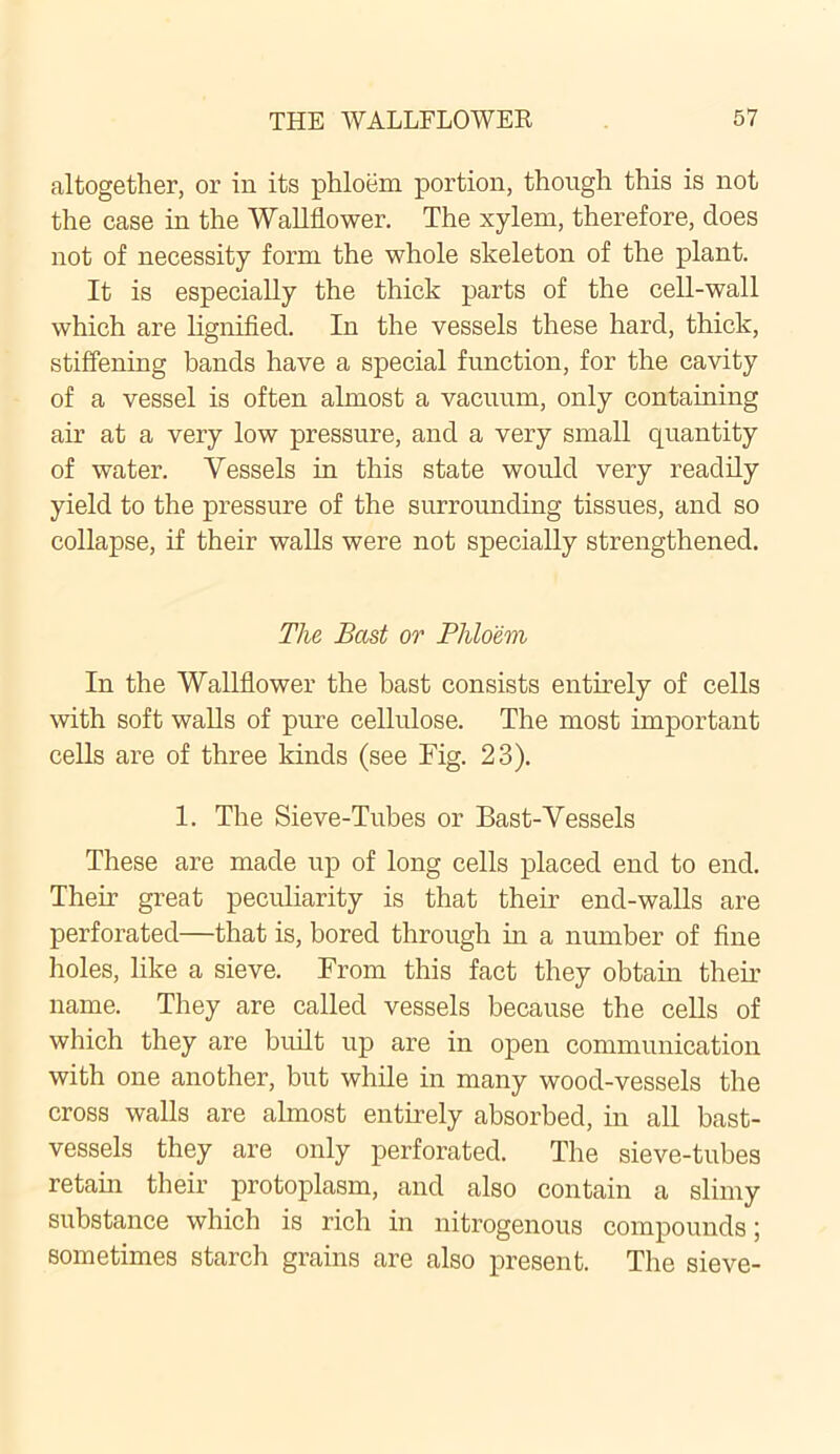 altogether, or in its phloem portion, though this is not the case in the Wallflower. The xylem, therefore, does not of necessity form the whole skeleton of the plant. It is especially the thick parts of the cell-wall which are lignified. In the vessels these hard, thick, stiffening bands have a special function, for the cavity of a vessel is often almost a vacuum, only containing air at a very low pressure, and a very small quantity of water. Vessels in this state would very readily yield to the pressure of the surrounding tissues, and so collapse, if their walls were not specially strengthened. The Bast or Phloem In the Wallflower the bast consists entirely of cells with soft walls of pure cellulose. The most important cells are of three kinds (see Fig. 23). 1. The Sieve-Tubes or Bast-Vessels These are made up of long cells placed end to end. Their great peculiarity is that their end-walls are perforated—that is, bored through in a number of fine holes, like a sieve. From this fact they obtain their name. They are called vessels because the cells of which they are built up are in open communication with one another, but while in many wood-vessels the cross walls are almost entirely absorbed, in all bast- vessels they are only perforated. The sieve-tubes retain their protoplasm, and also contain a slimy substance which is rich in nitrogenous compounds; sometimes starch grains are also present. The sieve-