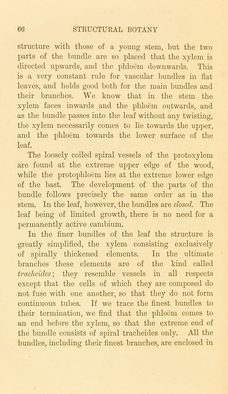 structure with those of a young stem, but the two parts of the bundle are so placed that the xylem is directed upwards, and the phloem downwards. This is a very constant rule for vascular bundles in flat leaves, and holds good both for the main bundles and their branches. We know that in the stem the xylem faces inwards and the phloem outwards, and as the bundle passes into the leaf without any twisting, the xylem necessarily comes to lie towards the upper, and the phloem towards the lower surface of the leaf. The loosely coiled spiral vessels of the protoxylem are found at the extreme upper edge of the wood, while the protophloem lies at the extreme lower edge of the bast. The development of the parts of the bundle follows precisely the same order as in the stem. In the leaf, however, the bundles are closed. The leaf being of limited growth, there is no need for a permanently active cambium. In the finer bundles of the leaf the structure is greatly simplified, the xylem consisting exclusively of spirally thickened elements. In the ultimate branches these elements are of the kind called trachcides; they resemble vessels in all respects except that the cells of which they are composed do not fuse with one another, so that they do not form continuous tubes. If we trace the finest bundles to their termination, we find that the phloem comes to an end before the xylem, so that the extreme end of the bundle consists of spiral tracheides only. All the bundles, including their finest branches, are enclosed in
