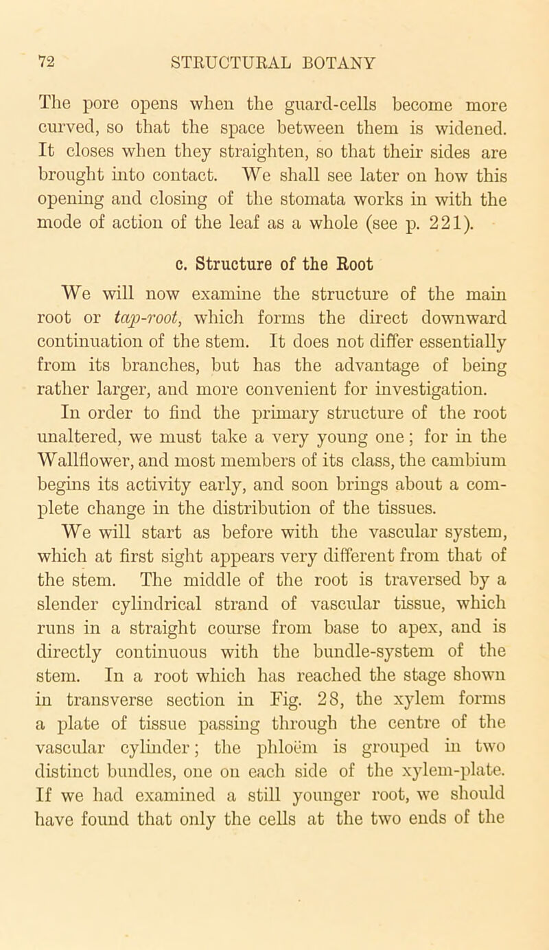 The pore opens when the guard-cells become more curved, so that the space between them is widened. It closes when they straighten, so that their sides are brought into contact. We shall see later on how this opening and closing of the stomata works in with the mode of action of the leaf as a whole (see p. 221). c. Structure of the Root We will now examine the structure of the main root or tap-root, which forms the direct downward continuation of the stem. It does not differ essentially from its branches, but has the advantage of being rather larger, and more convenient for investigation. In order to find the primary structure of the root unaltered, we must take a very young one; for hi the Wallflower, and most members of its class, the cambium begins its activity early, and soon brings about a com- plete change in the distribution of the tissues. We will start as before with the vascular system, which at first sight appears very different from that of the stem. The middle of the root is traversed by a slender cylindrical strand of vascular tissue, which runs in a straight course from base to apex, and is directly continuous with the bundle-system of the stem. In a root which has reached the stage shown in transverse section in Fig. 28, the xylem forms a plate of tissue passing through the centre of the vascular cylinder; the phloem is grouped in two distinct bundles, one on each side of the xylem-plate. If we had examined a still younger root, we should have found that only the cells at the two ends of the