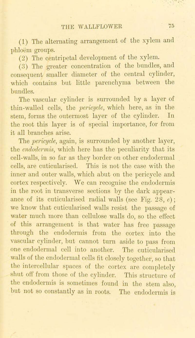 (1) The alternating arrangement of the xylem and phloem groups. (2) The centripetal development of the xylem. (3) The greater concentration of the bundles, and consequent smaller diameter of the central cylinder, which contains but little parenchyma between the bundles. The vascular cylinder is surrounded by a layer of thin-walled cells, the pericyclc, which here, as in the stem, forms the ontermost layer of the cylinder. In the root this layer is of special importance, for from it all branches arise. The 'pericyclc,, again, is surrounded by another layer, the endodermis, which here has the peculiarity that its cell-walls, in so far as they border on other endodermal cells, are cuticularised. This is not the case with the inner and outer walls, which abut on the pericycle and cortex respectively. We can recognise the endodermis in the root in transverse sections by the dark appear- ance of its cuticularised radial walls (see Fig. 28, c); we know that cuticularised walls resist the passage of water much more than cellulose walls do, so the effect of this arrangement is that water has free passage through the endodermis from the cortex into the vascular cylinder, hut cannot turn aside to pass from one endodermal cell into another. The cuticularised walls of the endodermal cells fit closely together, so that the intercellular spaces of the cortex are completely shut off from those of the cylinder. This structure of the endodermis is sometimes found in the stem also, hut not so constantly as in roots. The endodermis is