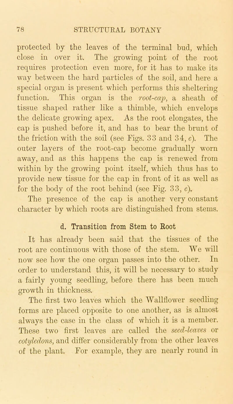 protected by the leaves of the terminal bud, which close in over it. The growing point of the root requires protection even more, for it has to make its way between the hard particles of the soil, and here a special organ is present which performs this sheltering function. This organ is the root-cap, a sheath of tissue shaped rather like a thimble, which envelops the delicate growing apex. As the root elongates, the cap is pushed before it, and has to bear the brunt of the friction with the soil (see Figs. 33 and 34, c). The outer layers of the root-cap become gradually worn away, and as this happens the cap is renewed from within by the growing point itself, which thus has to provide new tissue for the cap in front of it as well as for the body of the root behind (see Fig. 33, c). The presence of the cap is another very constant character by which roots are distinguished from stems. d. Transition from Stem to Root It has already been said that the tissues of the root are continuous with those of the stem. We will now see how the one organ passes into the other. In order to understand this, it will be necessary to study a fairly young seedling, before there has been much growth in thickness. The first two leaves which the Wallflower seedling forms are placed opposite to one another, as is almost always the case in the class of which it is a member. These two first leaves are called the seed-leaves or cotyledons, and differ considerably from the other leaves of the plant. For example, they are nearly round in