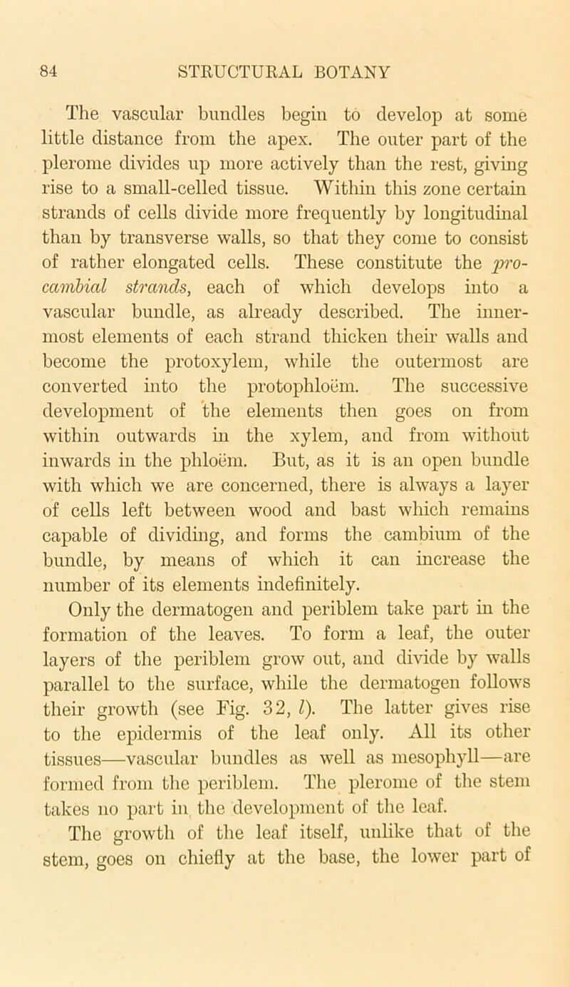 The vascular bundles begin to develop at some little distance from the apex. The outer part of the plerome divides up more actively than the rest, giving rise to a small-celled tissue. Within this zone certain strands of cells divide more frequently by longitudinal than by transverse walls, so that they come to consist of rather elongated cells. These constitute the pro- ccimbial strands, each of which develops into a vascular bundle, as already described. The inner- most elements of each strand thicken them walls and become the protoxylem, while the outermost are converted into the protophloem. The successive development of the elements then goes on from within outwards in the xylem, and from without inwards ill the phloem. But, as it is an open bundle with which we are concerned, there is always a layer of cells left between wood and bast which remains capable of dividing, and forms the cambium of the bundle, by means of which it can increase the number of its elements indefinitely. Only the dermatogen and periblem take part in the formation of the leaves. To form a leaf, the outer layei’s of the periblem grow out, and divide by walls parallel to the surface, while the dermatogen follows their growth (see Fig. 32, 1). The latter gives rise to the epidermis of the leaf only. All its other tissues—vascular bundles as well as mesophyll—are formed from the periblem. The plerome of the stem takes no part in the development of the leaf. The growth of the leaf itself, unlike that of the stem, goes on cliiefiy at the base, the lower part of