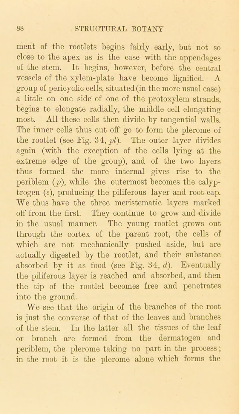 ment of the rootlets begins fairly early, but not so close to the apex as is the case with the appendages of the stem. It begins, however, before the central vessels of the xylem-plate have become lignified. A group of pericyclic cells, situated (in the more usual case) a little on one side of one of the protoxylem strands, begins to elongate radially, the middle cell elongating most. All these cells then divide by tangential walls. The inner cells thus cut off go to form the plerome of the rootlet (see Fig. 34, pi). The outer layer divides again (with the exception of the cells lying at the extreme edge of the group), and of the two layers thus formed the more internal gives rise to the periblem (p), while the outermost becomes the calyp- trogen (c), producing the piliferous layer and root-cap. We thus have the three meristematic layers marked off from the first. They continue to grow and divide in the usual manner. The young rootlet grows out through the cortex of the parent root, the cells of which are not mechanically pushed aside, but are actually digested by the rootlet, and their substance absorbed by it as food (see Fig. 34, d). Eventually the piliferous layer is reached and absorbed, and then the tip of the rootlet becomes free and penetrates into the ground. We see that the origin of the branches of the root is just the converse of that of the leaves and branches of the stem. In the latter all the tissues of the leaf or branch are formed from the dermatogen and periblem, the plerome taking no part in the process; in the root it is the plerome alone which forms the