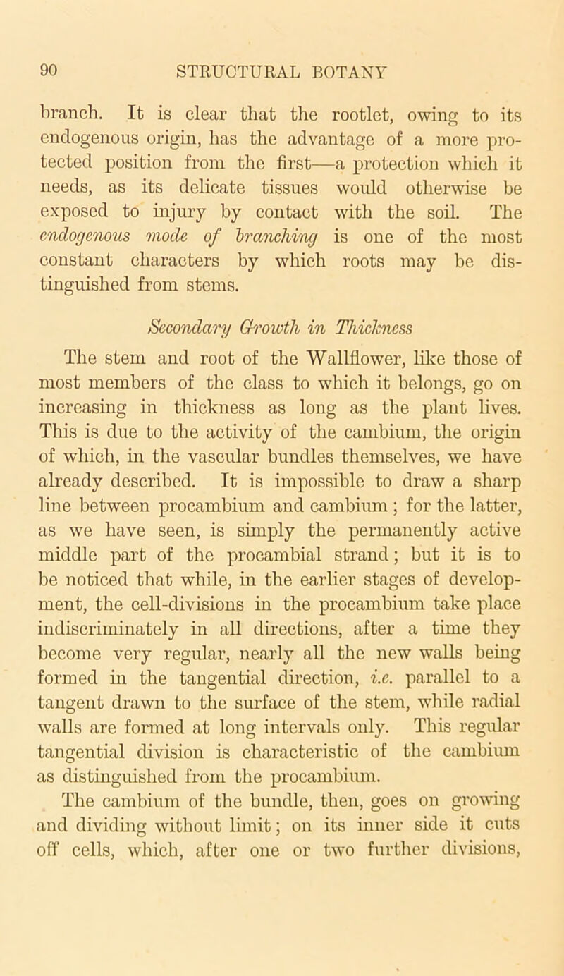 branch. It is clear that the rootlet, owing to its endogenous origin, has the advantage of a more pro- tected position from the first—a protection which it needs, as its delicate tissues would otherwise be exposed to injury by contact with the soil. The endogenous mode of branching is one of the most constant characters by which roots may be dis- tinguished from stems. Secondary Growth in Thickness The stem and root of the Wallflower, like those of most members of the class to which it belongs, go on increasing in thickness as long as the plant lives. This is due to the activity of the cambium, the origin of which, in the vascular bundles themselves, we have already described. It is impossible to draw a sharp line between procambium and cambium ; for the latter, as we have seen, is simply the permanently active middle part of the procambial strand; but it is to be noticed that while, in the earlier stages of develop- ment, the cell-divisions in the procambium take place indiscriminately in all directions, after a time they become very regular, nearly all the new walls being formed in the tangential direction, i.e. parallel to a tangent drawn to the surface of the stem, while radial walls are formed at long intervals only. This regular tangential division is characteristic of the cambium as distinguished from the procambium. The cambium of the bundle, then, goes on growing and dividing without limit; on its inner side it cuts off cells, which, after one or two further divisions,