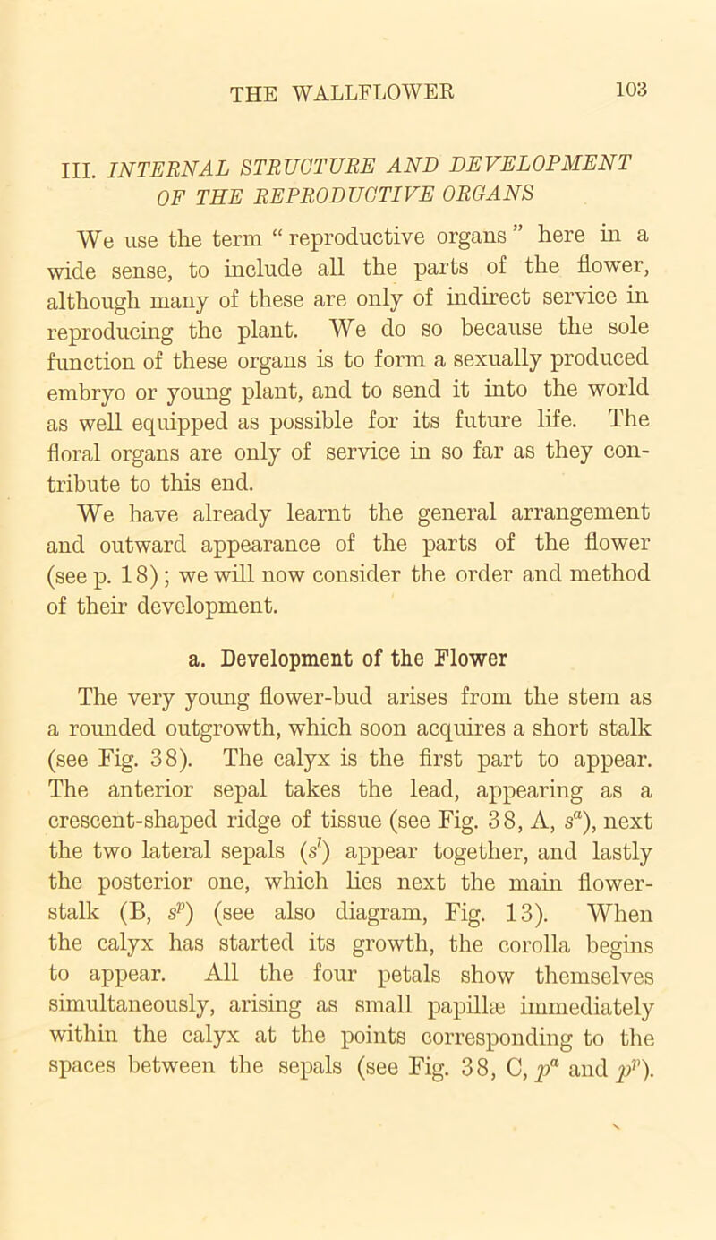 III. INTERNAL STRUCTURE AND DEVELOPMENT OF THE REPRODUCTIVE ORGANS We use the term “ reproductive organs ” here in a wide sense, to include all the parts of the flower, although many of these are only of indirect service in reproducing the plant. We do so because the sole function of these organs is to form a sexually produced embryo or young plant, and to send it into the world as well equipped as possible for its future life. The floral organs are only of service in so far as they con- tribute to this end. We have already learnt the general arrangement and outward appearance of the parts of the flower (see p. 18); we will now consider the order and method of their development. a. Development of the Flower The very young flower-bud arises from the stem as a rounded outgrowth, which soon acquires a short stalk (see Fig. 38). The calyx is the first part to appear. The anterior sepal takes the lead, appearing as a crescent-shaped ridge of tissue (see Fig. 38, A, s“), next the two lateral sepals (s') appear together, and lastly the posterior one, which lies next the mam flower- stalk (B, sp) (see also diagram, Fig. 13). When the calyx has started its growth, the corolla begins to appear. All the four petals show themselves simultaneously, arising as small papillae immediately within the calyx at the points corresponding to the spaces between the sepals (see Fig. 38, C, pa and pv).