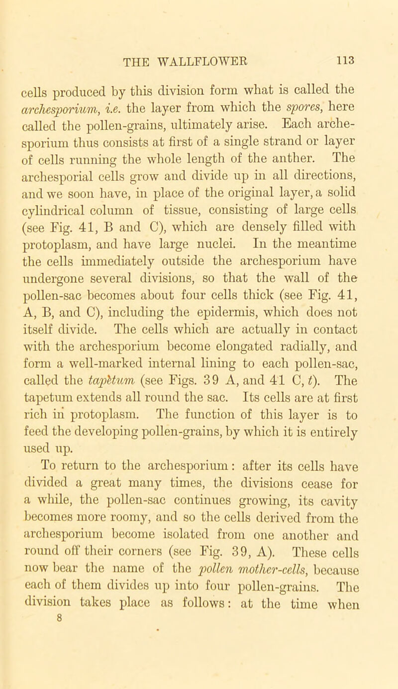 cells produced by this division form what is called the archesporium, i.e. the layer from which the spores, here called the pollen-grains, ultimately arise. Each arche- sporium thus consists at first of a single strand or layer of cells running the whole length of the anther. The archesporial cells grow and divide up in all directions, and we soon have, in place of the original layer, a solid cylindrical column of tissue, consisting of large cells (see Fig. 41, B and C), which are densely filled with protoplasm, and have large nuclei. In the meantime the cells immediately outside the archesporium have undergone several divisions, so that the wall of the pollen-sac becomes about four cells thick (see Fig. 41, A, B, and C), including the epidermis, which does not itself divide. The cells which are actually in contact with the archesporium become elongated radially, and form a well-marked internal lining to each pollen-sac, called the tapUum (see Figs. 39 A, and 41 C, t). The tapetum extends all round the sac. Its cells are at first rich in protoplasm. The function of this layer is to feed the developing pollen-grains, by which it is entirely used up. To return to the archesporium: after its cells have divided a great many times, the divisions cease for a while, the pollen-sac continues growing, its cavity becomes more roomy, and so the cells derived from the archesporium become isolated from one another and round off their corners (see Fig. 39, A). These cells now bear the name of the pollen mother-cells, because each of them divides up into four pollen-grains. The division takes place as follows: at the time when 8