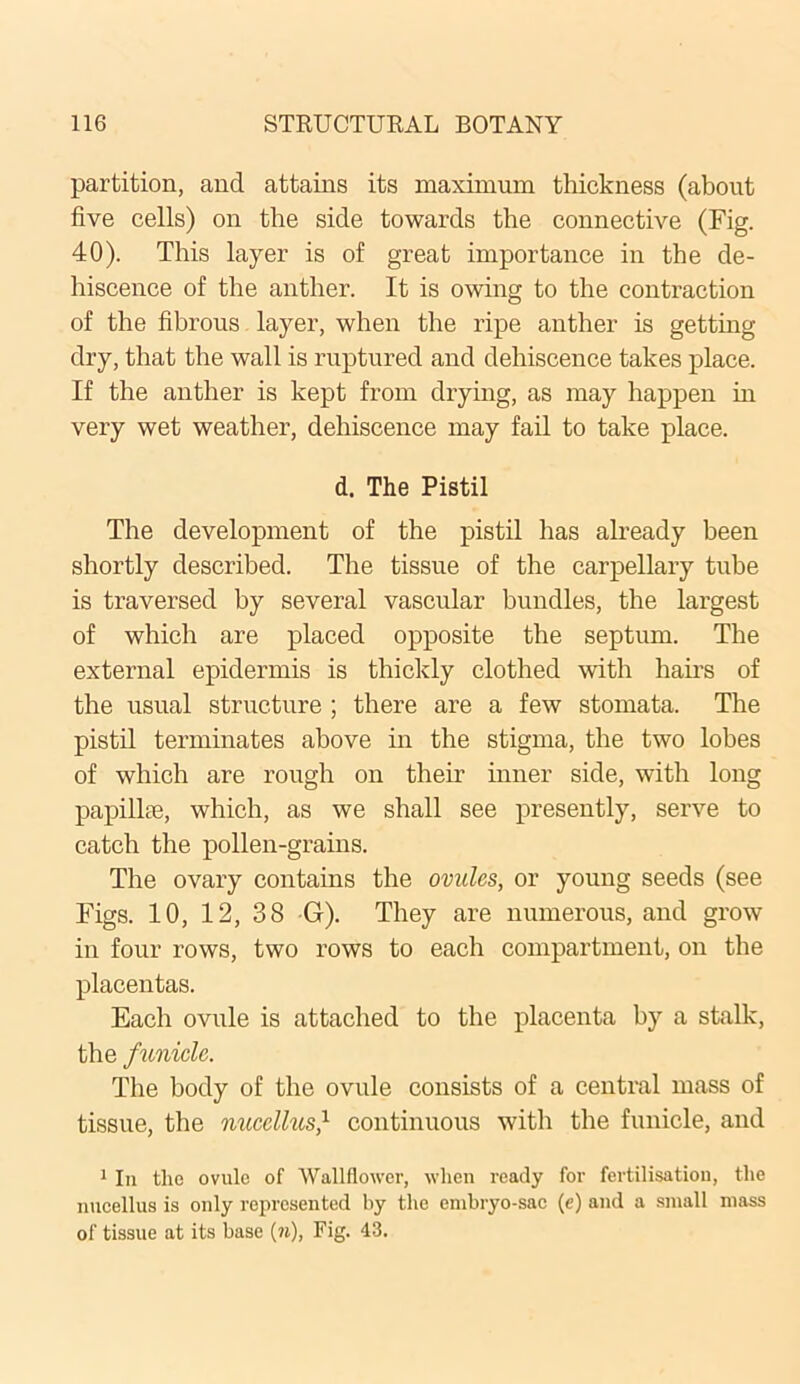 partition, and attains its maximum thickness (about five cells) on the side towards the connective (Fig. 40). This layer is of great importance in the de- hiscence of the anther. It is owing to the contraction of the fibrous layer, when the ripe anther is getting dry, that the wall is ruptured and dehiscence takes place. If the anther is kept from drying, as may happen in very wet weather, dehiscence may fail to take place. d. The Pistil The development of the pistil has already been shortly described. The tissue of the carpellary tube is traversed by several vascular bundles, the largest of which are placed opposite the septum. The external epidermis is thickly clothed with hairs of the usual structure ; there are a few stomata. The pistil terminates above in the stigma, the two lobes of which are rough on their inner side, with long papillae, which, as we shall see presently, serve to catch the pollen-grains. The ovary contains the ovules, or young seeds (see Figs. 10, 12, 38 G). They are numerous, and grow in four rows, two rows to each compartment, on the placentas. Each ovule is attached to the placenta by a stalk, the funicle. The body of the ovule consists of a central mass of tissue, the nucellus} continuous with the funicle, and 1 In tlic ovule of Wallflower, when ready for fertilisation, the nucellus is only represented by the embryo-sac (e) and a small mass of tissue at its base (n), Fig. 43.