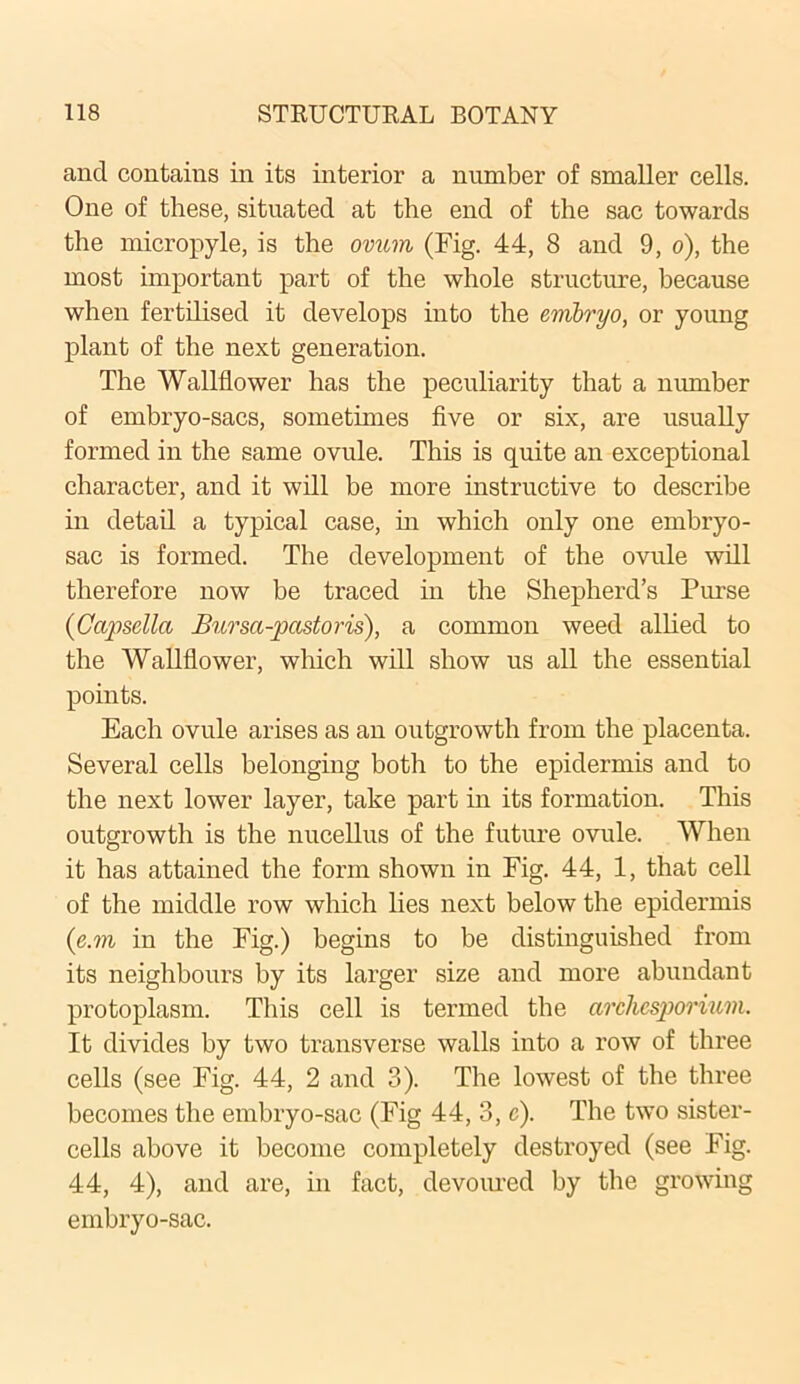 and contains in its interior a number of smaller cells. One of these, situated at the end of the sac towards the micropyle, is the ovum (Fig. 44, 8 and 9, o), the most important part of the whole structure, because when fertilised it develops into the embryo, or young plant of the next generation. The Wallflower has the peculiarity that a number of embryo-sacs, sometimes five or six, are usually formed in the same ovule. This is quite an exceptional character, and it will be more instructive to describe in detail a typical case, in which only one embryo- sac is formed. The development of the ovule will therefore now be traced in the Shepherd’s Purse (Capsella Bursa-pasto ris), a common weed allied to the Wallflower, which will show us all the essential points. Each ovule arises as an outgrowth from the placenta. Several cells belonging both to the epidermis and to the next lower layer, take part in its formation. This outgrowth is the nucellus of the future ovule. When it has attained the form shown in Fig. 44, 1, that cell of the middle row which lies next below the epidermis (e.m in the Fig.) begins to be distinguished from its neighbours by its larger size and more abundant protoplasm. This cell is termed the arclicspormm. It divides by two transverse walls into a row of three cells (see Fig. 44, 2 and 3). The lowest of the three becomes the embryo-sac (Fig 44, 3, c). The two sister- cells above it become completely destroyed (see Fig. 44, 4), and are, in fact, devoured by the growing embryo-sac.