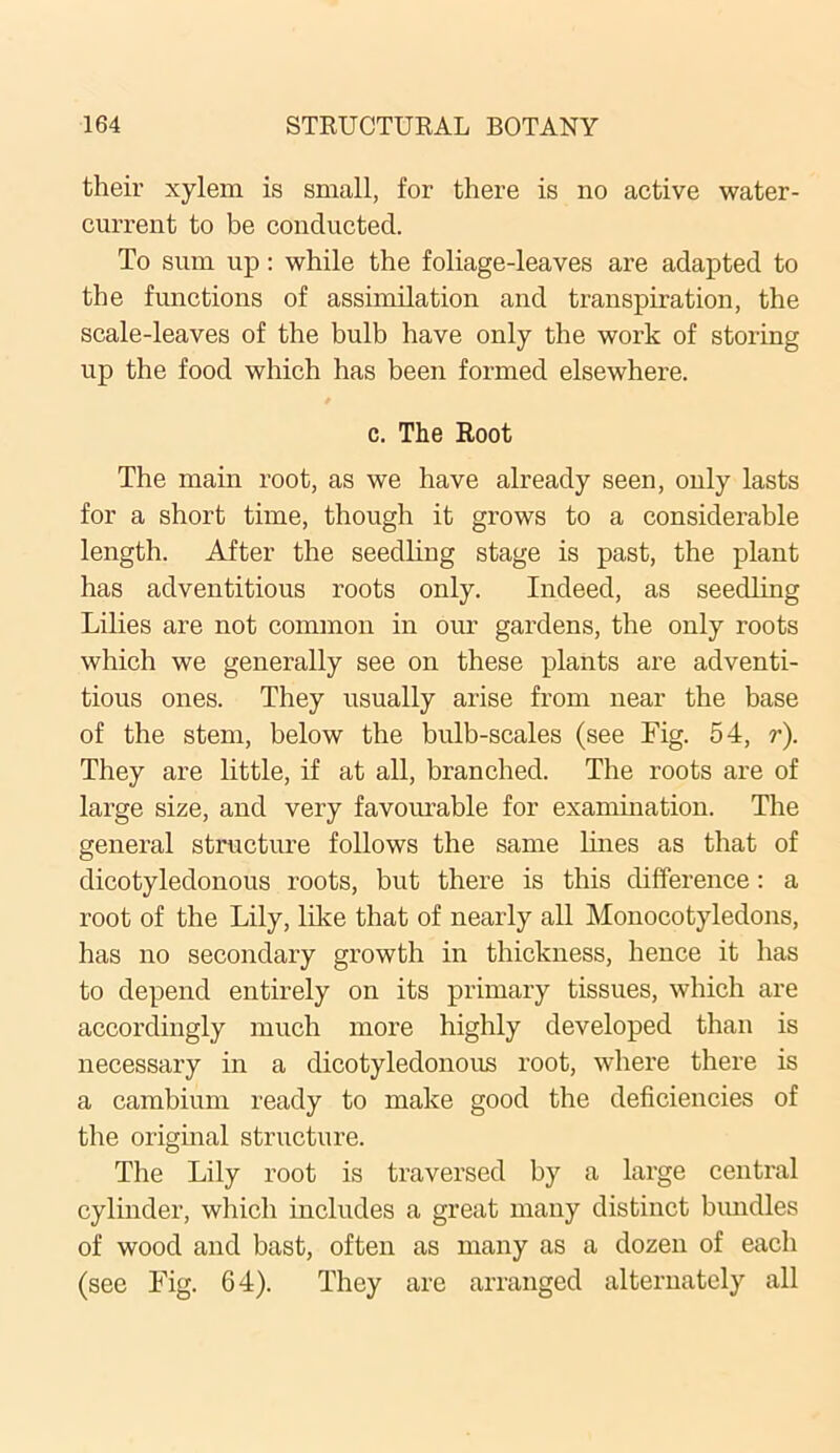 their xylem is small, for there is no active water- current to be conducted. To sum up: while the foliage-leaves are adapted to the functions of assimilation and transpiration, the scale-leaves of the bulb have only the work of storing up the food which has been formed elsewhere. c. The Root The main root, as we have already seen, only lasts for a short time, though it grows to a considerable length. After the seedling stage is past, the plant has adventitious roots only. Indeed, as seedling Lilies are not common in our gardens, the only roots which we generally see on these plants are adventi- tious ones. They usually arise from near the base of the stem, below the bulb-scales (see Fig. 54, r). They are little, if at all, branched. The roots are of large size, and very favourable for examination. The general structure follows the same lines as that of dicotyledonous roots, but there is this difference: a root of the Lily, like that of nearly all Monocotyledons, has no secondary growth in thickness, hence it has to depend entirely on its primary tissues, which are accordingly much more highly developed than is necessary in a dicotyledonous root, where there is a cambium ready to make good the deficiencies of the original structure. The Lily root is traversed by a large central cylinder, which includes a great many distinct bundles of wood and bast, often as many as a dozen of each (see Fig. 64). They are arranged alternately all