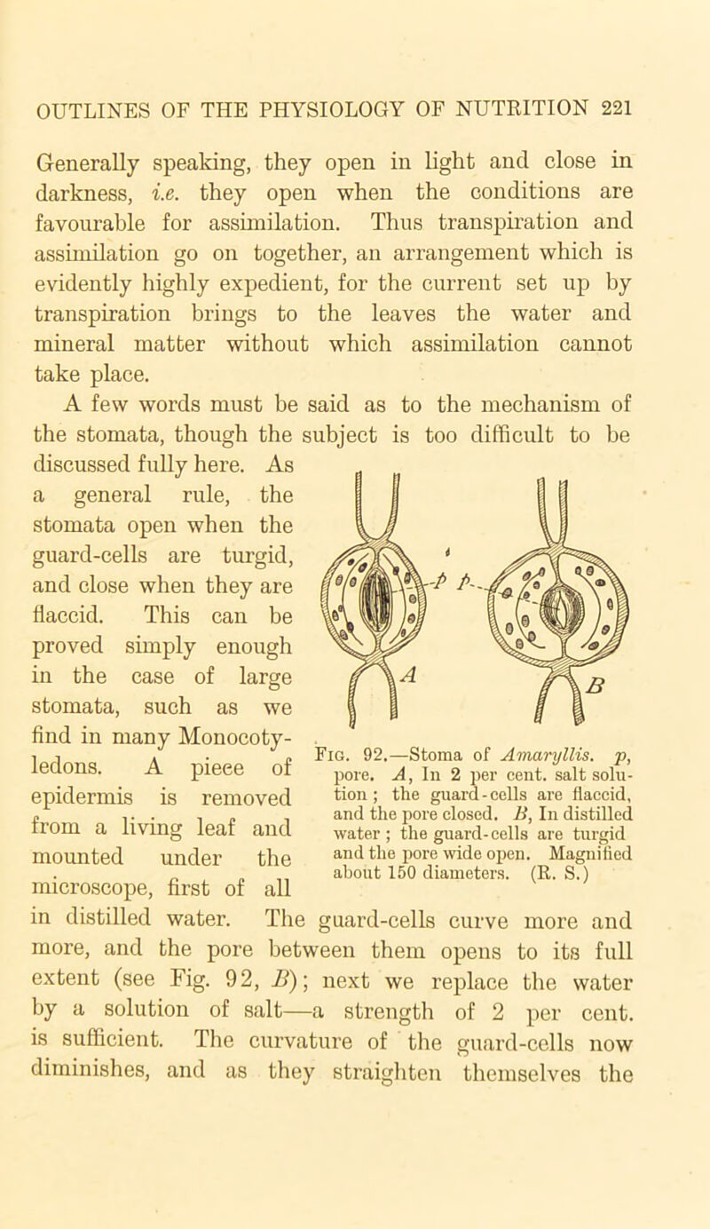 Generally speaking, they open in light and close in darkness, i.e. they open when the conditions are favourable for assimilation. Thus transpiration and assimilation go on together, an arrangement which is evidently highly expedient, for the current set up by transpiration brings to the leaves the water and mineral matter without which assimilation cannot take place. A few words must be said as to the mechanism of the stomata, though the subject is too difficult to be discussed fully here. As a general rule, the stomata open when the guard-cells are turgid, and close when they are flaccid. This can be proved simply enough in the case of large stomata, such as we find in many Monocoty- ledons. A pieee of epidermis is removed Fig. 92.—Stoma of Amaryllis, p, pore. A, In 2 per cent, salt solu- tion ; the guard-cells are flaccid, and the pore closed. B, In distilled water ; the guard-cells are turgid and the pore wide open. Magnified about 150 diameters. (R. S.) from a living leaf and mounted under the microscope, first of all in distilled water. The guard-cells curve more and more, and the pore between them opens to its full extent (see Fig. 92, B)\ next we replace the water by a solution of salt—a strength of 2 per cent, is sufficient. The curvature of the guard-cells now diminishes, and as they straighten themselves the