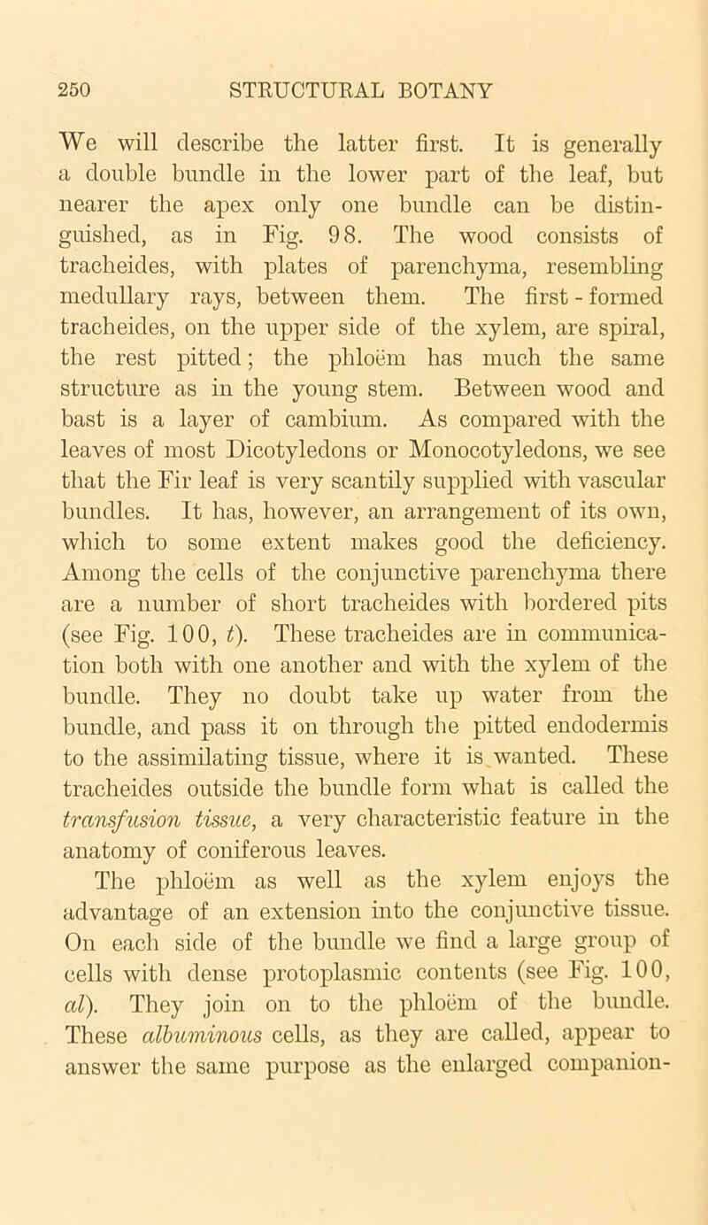 We will describe the latter first. It is generally a double bundle in the lower part of the leaf, but nearer the apex only one bundle can be distin- guished, as in Fig. 98. The wood consists of tracheides, with plates of parenchyma, resembling medullary rays, between them. The first - formed tracheides, on the upper side of the xylem, are spiral, the rest pitted; the phloem has much the same structure as in the young stem. Between wood and bast is a layer of cambium. As compared with the leaves of most Dicotyledons or Monocotyledons, we see that the Fir leaf is very scantily supplied with vascular bundles. It has, however, an arrangement of its own, which to some extent makes good the deficiency. Among the cells of the conjunctive parenchyma there are a number of short tracheides with bordered pits (see Fig. 100, t). These tracheides are in communica- tion both with one another and with the xylem of the bundle. They no doubt take up water from the bundle, and pass it on through the pitted endodermis to the assimilating tissue, where it is wanted. These tracheides outside the bundle form what is called the transfusion tissue, a very characteristic feature in the anatomy of coniferous leaves. The phloem as well as the xylem enjoys the advantage of an extension into the conjunctive tissue. On each side of the bundle we find a large group of cells with dense protoplasmic contents (see Fig. 100, al). They join on to the phloem of the bundle. These albuminous cells, as they are called, appear to answer the same purpose as the enlarged companion-