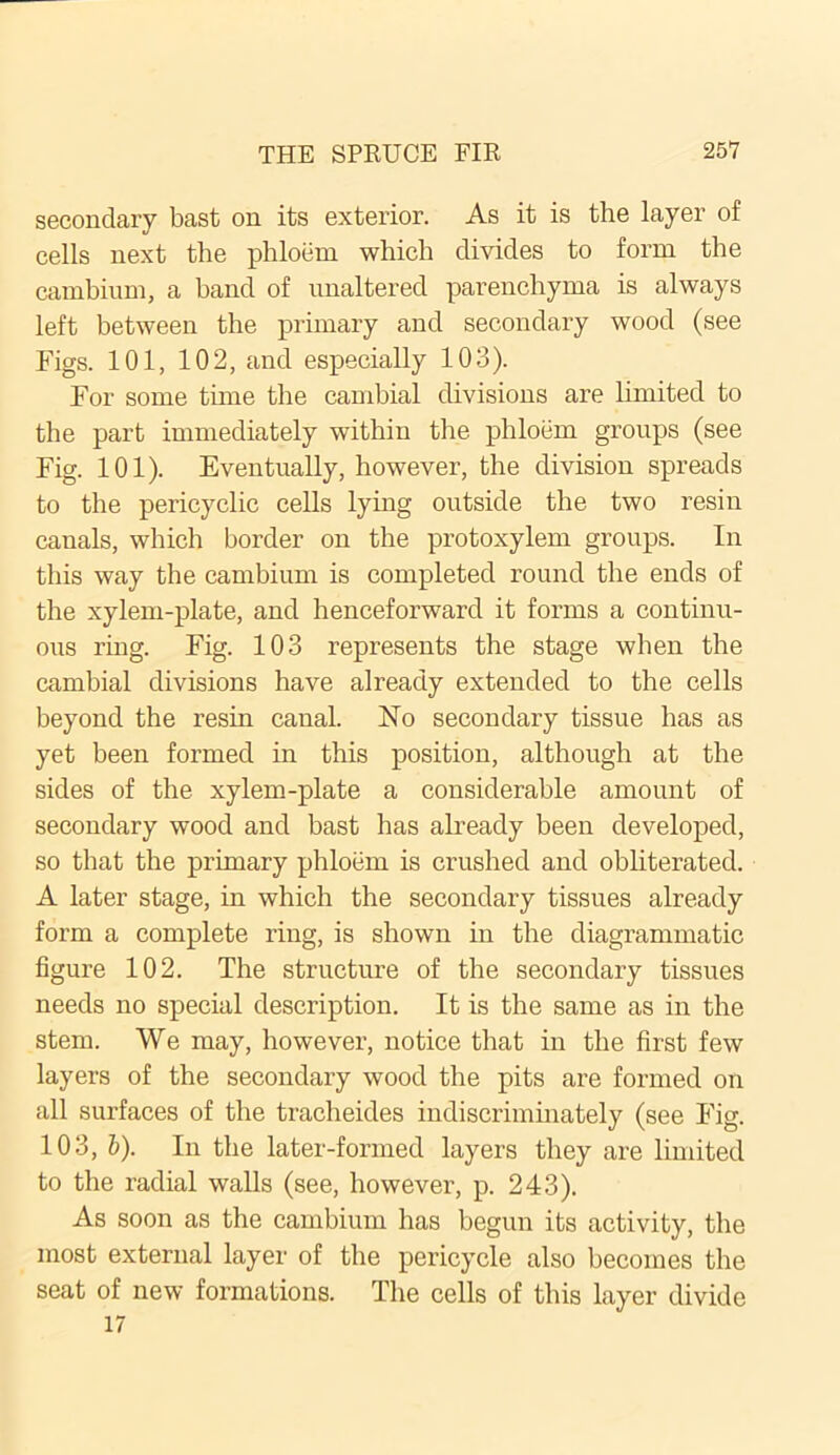 secondary bast on its exterior. As it is the layer of cells next the phloem which divides to form the cambium, a band of unaltered parenchyma is always left between the primary and secondary wood (see Figs. 101, 102, and especially 103). For some time the cambial divisions are limited to the part immediately within the phloem groups (see Fig. 101). Eventually, however, the division spreads to the pericyclic cells lying outside the two resin canals, which border on the protoxylem groups. In this way the cambium is completed round the ends of the xylem-plate, and henceforward it forms a continu- ous ring. Fig. 103 represents the stage when the cambial divisions have already extended to the cells beyond the resin canal. No secondary tissue has as yet been formed in this position, although at the sides of the xylem-plate a considerable amount of secondary wood and bast has already been developed, so that the primary phloem is crushed and obliterated. A later stage, in which the secondary tissues already form a complete ring, is shown in the diagrammatic figure 102. The structure of the secondary tissues needs no special description. It is the same as in the stem. We may, however, notice that in the first few layers of the secondary wood the pits are formed on all surfaces of the tracheides indiscriminately (see Fig. 103, b). In the later-formed layers they are limited to the radial walls (see, however, p. 243). As soon as the cambium has begun its activity, the most external layer of the pericycle also becomes the seat of new formations. The cells of this layer divide 17