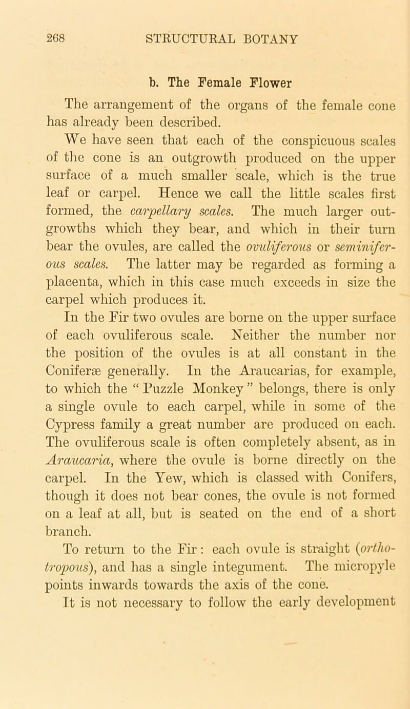 b. The Female Flower The arrangement of the organs of the female cone has already been described. We have seen that each of the conspicuous scales of the cone is an outgrowth produced on the upper surface of a much smaller scale, which is the true leaf or carpel. Hence we call the little scales first formed, the carpellary scales. The much larger out- growths which they bear, and which in them turn bear the ovules, are called the ovuliferous or seminifer- ous scales. The latter may be regarded as forming a placenta, which in this case much exceeds in size the carpel which produces it. In the Fir two ovules are borne on the upper surface of each ovuliferous scale. Neither the number nor the position of the ovules is at all constant in the Conifer® generally. In the Araucarias, for example, to which the “ Puzzle Monkey ” belongs, there is only a single ovule to each carpel, while in some of the Cypress family a great number are produced on each. The ovuliferous scale is often completely absent, as in Araucaria, where the ovule is borne directly on the carpel. In the Yew, which is classed with Conifers, though it does not bear cones, the ovule is not formed on a leaf at all, but is seated on the end of a short branch. To return to the Fir: each ovule is straight (ortho- tropous), and has a single integument. The micropyle points inwards towards the axis of the cone. It is not necessary to follow the early development