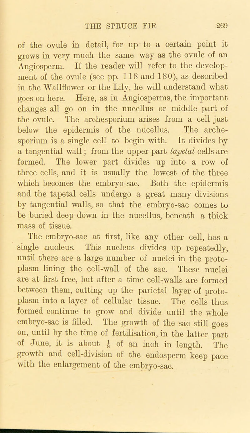 of the ovule in detail, for up to a certain point it grows in very much the same way as the ovule of an Angiosperm. If the reader will refer to the develop- ment of the ovule (see pp. 118 and 180), as described in the Wallflower or the Lily, he will understand what goes on here. Here, as in Angiosperms, the important changes all go on in the nucellus or middle part of the ovule. The archesporium arises from a cell just below the epidermis of the nucellus. The arche- sporium is a single cell to begin with. It divides by a tangential wall; from the upper part tapetcd cells are formed. The lower part divides up into a row of three cells, and it is usually the lowest of the three which becomes the embryo-sac. Both the epidermis and the tapetal cells undergo a great many divisions by tangential walls, so that the embryo-sac comes to be buried deep down in the nucellus, beneath a thick mass of tissue. The embryo-sac at first, like any other cell, has a single nucleus. This nucleus divides up repeatedly, until there are a large number of nuclei in the proto- plasm lining the cell-wall of the sac. These nuclei are at first free, but after a time cell-walls are formed between them, cutting up the parietal layer of proto- plasm into a layer of cellular tissue. The cells thus formed continue to grow and divide until the whole embryo-sac is filled. The growth of the sac still goes on, until by the time of fertilisation, in the latter part of June, it is about £ of an inch in length. The growth and cell-division of the endosperm keep pace with the enlargement of the embryo-sac.