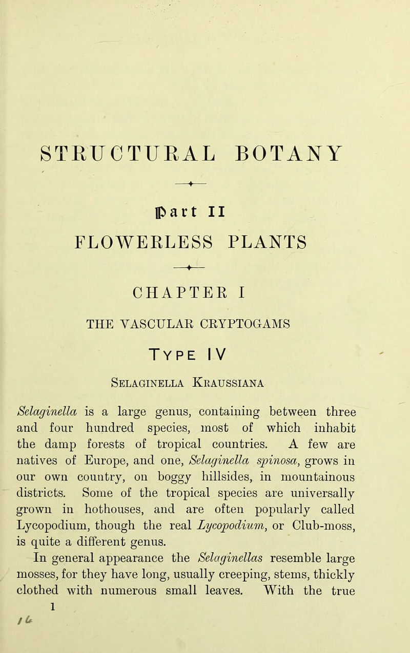 STRUCTURAL BOTANY part II FLOWERLESS PLANTS ♦ CHAPTER I THE VASCULAR CRYPTOGAMS Type IV Selaginella Kraussiana Selaginella is a large genus, containing between three and four hundred species, most of which inhabit the damp forests of tropical countries. A few are natives of Europe, and one, Selaginella spinosa, grows in our own country, on boggy hillsides, in mountainous districts. Some of the tropical species are universally grown in hothouses, and are often popularly called Lycopodium, though the real Lycopodium, or Club-moss, is quite a different genus. In general appearance the Selaginellas resemble large mosses, for they have long, usually creeping, stems, thickly clothed with numerous small leaves. With the true it*