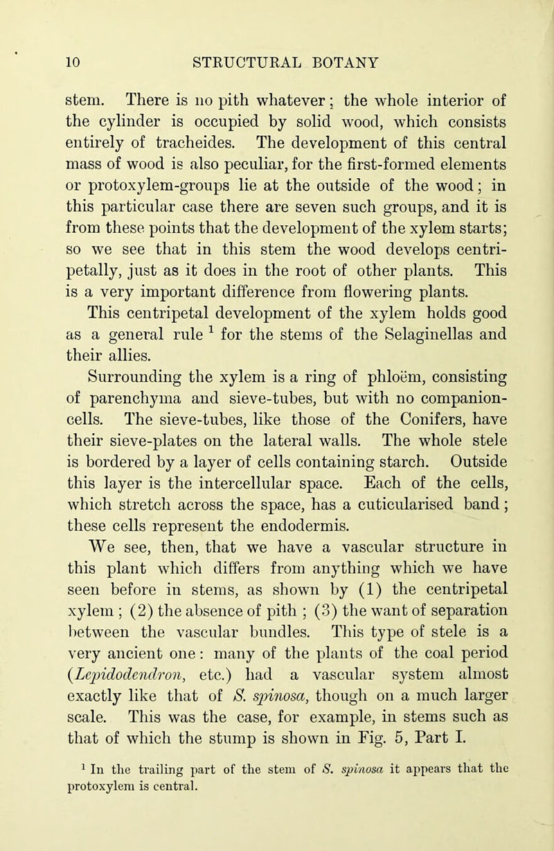 stem. There is no pith whatever; the whole interior of the cylinder is occupied by solid wood, which consists entirely of tracheides. The development of this central mass of wood is also peculiar, for the first-formed elements or protoxylem-groups lie at the outside of the wood; in this particular case there are seven such groups, and it is from these points that the development of the xylem starts; so we see that in this stem the wood develops centri- petally, just as it does in the root of other plants. This is a very important difference from flowering plants. This centripetal development of the xylem holds good as a general rule 1 for the stems of the Selaginellas and their allies. Surrounding the xylem is a ring of phloem, consisting of parenchyma and sieve-tubes, but with no companion- cells. The sieve-tubes, like those of the Conifers, have their sieve-plates on the lateral walls. The whole stele is bordered by a layer of cells containing starch. Outside this layer is the intercellular space. Each of the cells, which stretch across the space, has a cuticularised band; these cells represent the endodermis. We see, then, that we have a vascular structure in this plant which differs from anything which we have seen before in stems, as shown by (1) the centripetal xylem ; (2) the absence of pith ; (3) the want of separation between the vascular bundles. This type of stele is a very ancient one: many of the plants of the coal period (Lepidodendron, etc.) had a vascular system almost exactly like that of S. spinosa, though on a much larger scale. This was the case, for example, in stems such as that of which the stump is shown in Fig. 5, Part I. 1 In the trailing part of the stem of S. spinosa it ajipears that the protoxylem is central.
