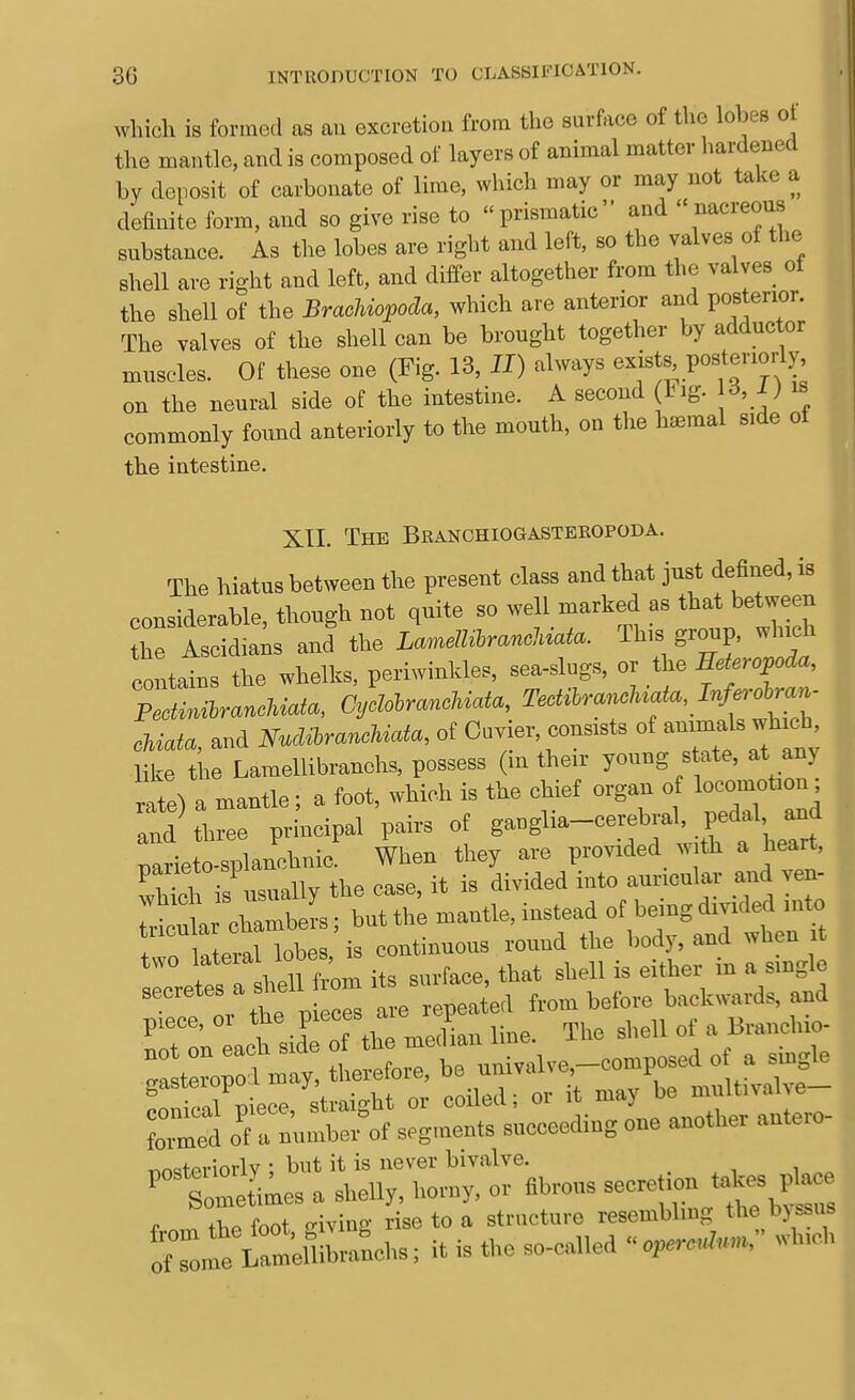 which is formed as an excretiou from the surface of the lobes of the mantle, and is composed of layers of animal matter hardened by deiiosit of carbonate of lime, which may or may not take a definite form, and so give rise to prismatic and nacreous substance. As the lobes are right and left, so the valves of the shell are right and left, and differ altogether from the valves of the shell of the Brachiopoda, which are anterior and pos enor. The valves of the shell can be brought together by adductor muscles. Of these one (Fig. 13, II) always ^^fts, posteriorly on the neural side of the intestine. A second (Fig. 16,1) is commonly found anteriorly to the mouth, on the haemal side ot the iatestine. XII. The Branchiogastekopoda. The hiatus between the present class and that just deSned, is considerable, though not quite so well marked as that between he isdd ais and the La^.irancliata. This group, winch contains the whelks, periwinkles, sea-slugs, or the Be^r^foda, PectmarancUata, CjMmncUata, M.Wua(«, I-Z^'oi™  oftiato, and Mftrfrfa, of Covier, consists of a™'^'^^'*; like the LamellibraneH possess (m the.r young s ate, at an, ate) a mantle; a foot, which is the chief organ of locomofo^; and three principal pairs ot ganglia-cerebral, pedal and rarieto-splanchnic When they are provided with a heart, whM i usually the case, it is divided into auncular and ven- rtular chambers; but the mantle, instead of bemgdivided into : lobes is continuous round the body, and when it two W''--^^^^^^^^^^^^ ~ ^„,,f,,,, ttat shell is either in a single secretes a ^!'^ '1 ,epea e<l More backwards, and Weriorlv ; but it is never bivalve. loltoes a shelly, horny, or fibrous -ere.ion fates plac , foot irivinK rise to a structure resembliii.s the bjssus 1^0 elbbraLhs; it is the so-called « o,.ro*»., which I