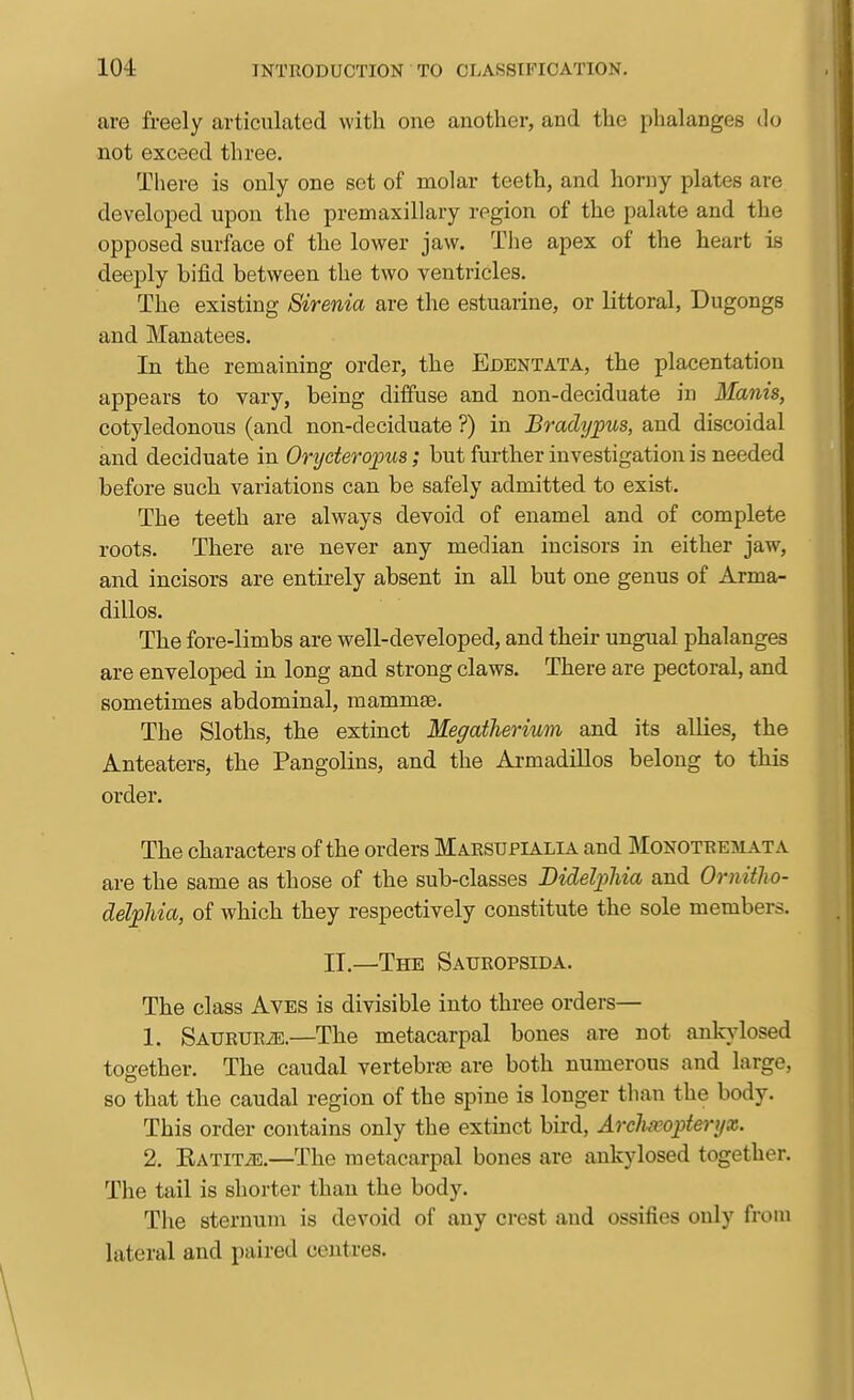 are freely articulated with one another, and the phalanges do not exceed three. There is only one sot of molar teeth, and horny plates are developed upon the premaxillary region of the palate and the opposed surface of the lower jaw. The apex of the heart is deeply bifid between the two ventricles. The existing Sirenia are the estuarine, or littoral, Dugongs and Manatees. In the remaining order, the Edentata, the placentation appears to vary, being diffuse and non-deciduate in Manis, cotyledonous (and non-deciduate ?) in Bradypus, and discoidal and deciduate in Oryeteroj)us; but further investigation is needed before such variations can be safely admitted to exist. The teeth are always devoid of enamel and of complete roots. There are never any median incisors in either jaw, and incisors are entirely absent in all but one genus of Arma- dillos. The fore-limbs are well-developed, and theii' ungual phalanges are enveloped in long and strong claws. There are pectoral, and sometimes abdominal, mammae. The Sloths, the extinct Megatherium and its allies, the Anteaters, the Pangolins, and the Armadillos belong to this order. The characters of the orders Maksupialia and Monotremata are the same as those of the sub-classes Bidelpliia and Ornitho- delpUa, of which they respectively constitute the sole members. II.—The Saueopsida. The class Ayes is divisible into three orders— 1. SAURURiE.—The metacarpal bones are not anln'losed together. The caudal vertebrte are both numerous and large, so that the caudal region of the spine is longer than the body. This order contains only the extinct bird, Arclixopieryx. 2. Eatit/b.—The metacarpal bones are ankylosed together. The tail is shorter than the body. The sternum is devoid of any crest and ossifies only from lateral and paired centres.