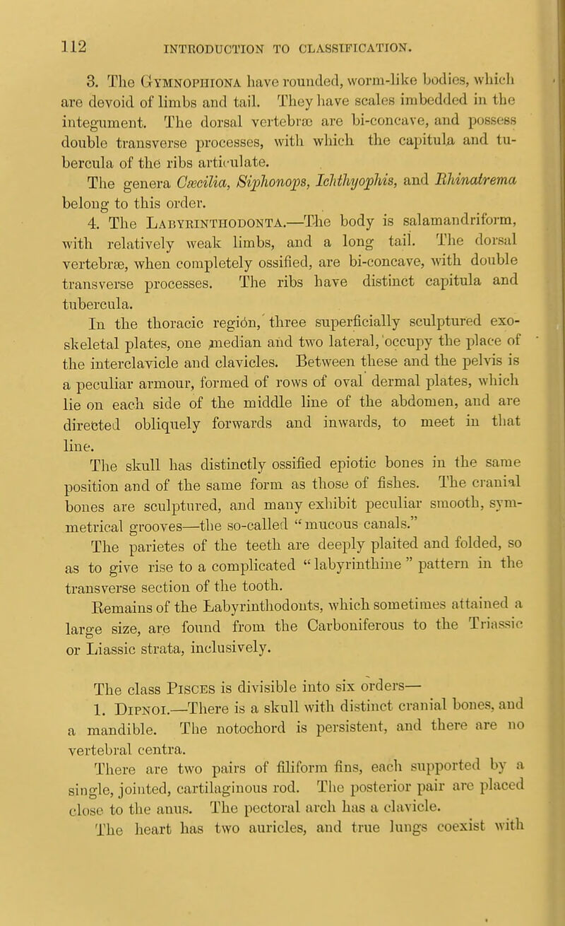 3. The Gymnophiona have rounded, worm-like bodies, which are devoid of limbs and tail. They have scales imbedded in the integument. The dorsal vertebra! are bi-concave, and possess double transverse processes, with which the capituU and tu- bercula of the ribs articulate. The genera Csecilia, Si])honops, IchthyojpMs, and EMnatrema belong to this order. 4. The Labykinthodonta.—The body is salamandriform, with relatively weak limbs, and a long tail. The dorsal vertebree, when completely ossified, are bi-concave, with double transverse processes. The ribs have distinct capitula and tubercula. In the thoracic regi6n,'three superficially sculptured exo- skeletal plates, one median and two lateral, occupy the place of the interclavicle and clavicles. Between these and the pelvis is a peculiar armour, formed of rows of oval dermal plates, which lie on each side of the middle line of the abdomen, and are directed obliquely forwards and inwards, to meet in that line. The skull has distinctly ossified epiotic bones in the same position and of the same form as those of fishes. The cranial bones are sculptured, and many exhibit peculiar smooth, sym- metrical grooves—the so-called  mucous canals. The parietes of the teeth are deeply plaited and folded, so as to give rise to a complicated  labyrinthine  pattern in the transverse section of the tooth. Eemainsof the Labyrinthodonts, which sometimes attained a laro-e size, are found from the Carboniferous to the Triassic or Liassic strata, inclusively. The class Pisces is divisible into six orders— 1. Dipnoi.—There is a skull with distinct cranial bones, and a mandible. The notochord is persistent, and there are no vertebral centra. There are two pairs of fiHform fins, each supported by a single, jointed, cartilaginous rod. The posterior pair are placed close to the anus. The pectoral arch has a clavicle. The heart has two auricles, and true lungs coexist with