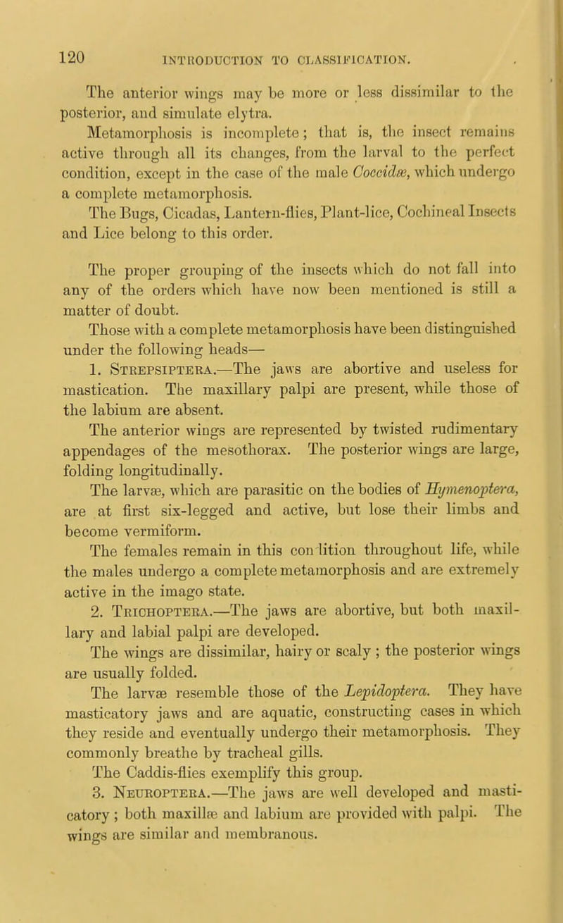 The anterior wings may be more or less dissimilar to the posterior, and simnlate elytra. Metamorphosis is incomplete ; that is, the insect remains active through all its changes, from the larval to the perfect condition, except in the case of the male Goccidm, which undei-go a complete metamorphosis. The Bugs, Cicadas, Lantern-flies, Plant-lice, Cochineal Insects and Lice belong to this order. The proper grouping of the insects which do not fall into any of the orders which have now been mentioned is still a matter of doubt. Those with a complete metamorphosis have been distinguished under the following heads— 1. Strepsiptera.—The jaws are abortive and useless for mastication. The maxillary palpi are present, while those of the labium are absent. The anterior wings are represented by twisted rudimentary appendages of the mesothorax. The posterior wings are large, folding longitudinally. The larvae, which are parasitic on the bodies of Eymenoptera, are at first six-legged and active, but lose their limbs and become vermiform. The females remain in this con dition throughout life, while the males undergo a complete metamorphosis and are extremely active in the imago state. 2. Triohopteea.—The jaws are abortive, but both maxil- lary and labial palpi are developed. The wings are dissimilar, hairy or scaly ; the posterior wings are usually folded. The larvae resemble those of the Lepidoptera. They have masticatory jaws and are aquatic, constructing cases in which they reside and eventually undergo their metamorphosis. They commonly breathe by tracheal gills. The Caddis-flies exemplify this group. 3. Neueoptera.—The jaws are well developed and masti- catory ; both maxillfe and labium are provided with palpi. The wings are similar and membranous.