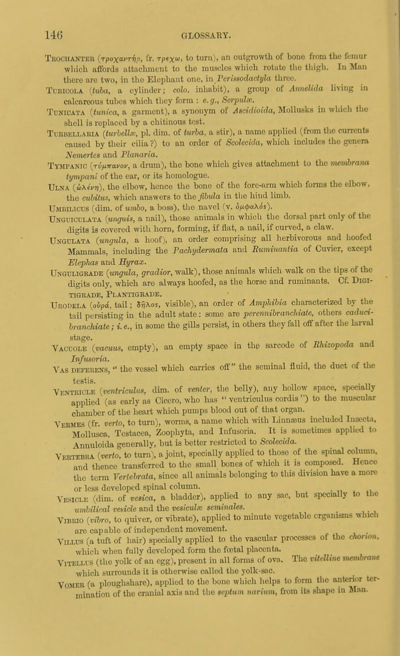 Trochahteu {rpoxavT-hp, fr. Tpexo), to turn), an outgrowth of bone from the femur wliich affords attachment to the muscles which rotate tlie tliigh. In Man there are two, in the Elephant one, in Perissodadyla three. TuBicoLA {kiha, a cylinder; colo, inhabit), a group of Annelida living in calcareous tubes which they form : e. g., Serpulie. TuNicATA {tunica, a garment), a synonym of Asddioida, Mollusks in which the shell is replaced by a chitinous test. TuKBELLARiA {turhellm, pi. dim. of turba, a stir), a name applied (from the currents caused by their cilia ?) to an order of Scolecida, which includes the genera Nemertes and Planaria. Tympanic {Tv/nravov, a dram), the bone which gives attachment to the membrana tympani of the ear, or its homologue. Ulna (wAeVr?), the elbow, hence the bone of the fore-arm which forms the elbow, the cubitus, which answers to the fibula in tiie hind lunb. Umbilicus (dim. of umbo, a boss), the navel (v. oix<paK6s). Unguiculata {unguis, a nail), those animals in which the dorsal part only of the digits is covered with horn, forming, if flat, a nail, if curved, a claw. Ungulata (ungula, a hoof), an order comprising all herbivorous and hoofed Mammals, including the Paohydermata and Ruminaniia of Cuvier, except ElepTias and Hyrax. UuGtJLiGBADE {ungula, gradior, walk), those animals which walk on the tips of the digits only, which are always hoofed, as the horse and ruminants. Of. DiGi- TIGRADB, PlANTIGEADE. Urodela {oiipd, tail; S^Aos, visible), an order of Amphibia characterized by the tail persisting in the adult state: some are pereiinibrancldale, others caduci- brancMate; i.e., in some the gills persist, in others they fall off after the larval stage. Vacuole {vacuus, empty), an empty space in the sarcode of Ehizopoda and Infusoria. Vas deferens,  the vessel which carries off the seminal fluid, the duct of the testis. Ventricle {ventriculus, dun. of venter, the belly), any hollow space. speciaUy applied (as early as Cicero, who has  ventriculus cordis ) to tlie muscular chamber of the heart which pumps blood out of that organ. Vermes (fr. verto, to turn), worms, a name which with Linnaaus included Insecta, Mollusca, Testacea, Zoophyta, and Infusoria. It is sometmies applied to Annuloida generally, but is better restricted to Scolecida. Vertebha {verto. to turn), a joint, specially applied to those of the spinal column, and thence transferred to the small bones of wliich it is composed. Hence the term Vertel>rata, since all animals belonging to this division have a more or less developed spinal column. Vesicle (dim. of vesica, a bladder), applied to any sac, but siiecially to the umbilical vesicle and the vesiculie seminales. Vibrio {vibro, to quiver, or vibmte), applied to minute vegetable organisms winch are capable of independent movement. Villus (a tuft of hair) specially applied to the vascular processes of the chorion, which when fully developed form the foetal placenta. ViTELLi s (the yolk of an egg), present in all forms of ova. The vitelline membrane which surrounds it is otherwise called the yolk-sac. Vomer (a ploughshare), applied to the bone which helps to form tlie anterior ter- mination of the cranial axis and the septum narium, from its shape m Man.