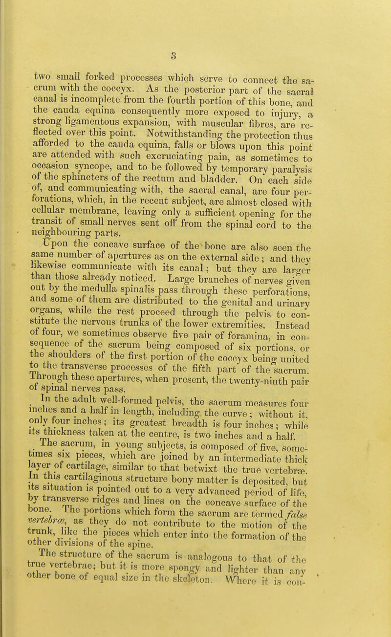two small forked processes which serve to comiect the sa- crum with the coccyx. As the posterior part of the sacral canal is incomplete from the fourth portion of this bone, and the Cauda equina consequently more exposed to injury, a strong ligamentous expansion, with muscular fibres, are 're- flected over this point. Notwithstanding the protection thus afforded to the cauda equina, falls or blows upon this point are attended with such excruciating pain, as sometimes to occasion syncope, and to be followed by temporary paralysis of the sphincters of the rectum and bladder. On each side of, and communicating with, the sacral canal, are four per- forations, which, in the recent subject, are almost closed with cellular membrane, leaving only a sufficient opening for the transit of small nerves sent off from the spinal cord to the neighbouring parts. Upon the concave surface of the bone are also seen the same number of apertures as on the external side; and they likewise communicate with its canal; but they are laro-er than those already noticed. Large branches of nerves given out by the medulla spinalis pass through these perforations and some of them are distributed to the genital and urinary organs, while the rest proceed through the pelvis to con- stitute the nervous trunks of the lower extremities. Instead ot tour, we sometimes observe five pair of foramina, in con- sequence of the sacrum being composed of six portions, or the shoulders of the first portion of the coccyx being united to the transverse processes of the fifth part of the sacrum, ihrough these apertures, when present, the twenty-ninth pair 01 spinal nerves pass. _ In the adult well-formed pelvis, the sacrum measures four inches and a half in length, including the curve; without it, only tour inches; its greatest breadth is four inches; while Its thickness taken at the centre, is two inches and a half. ihe sacrum, m young subjects, is composed of five, some- times SIX pieces, which are joined by an intermediate thick layer of cartilage, similar to that betwixt the true vertebra^' in this cartilaginous structure bony matter is deposited, but Its situation is pointed out to a very advanced period of life by transverse ridges and lines on the concave surface of the bone ihe portions which form the sacrum are termed false vertehrw as they do not contribute to the motion of the trunk, like the pieces which enter into the formation of the other divisions of the spine. The structure of the sacrum is analogous to that of tlic other bone of equal size m the skeleton. Whore it is con-