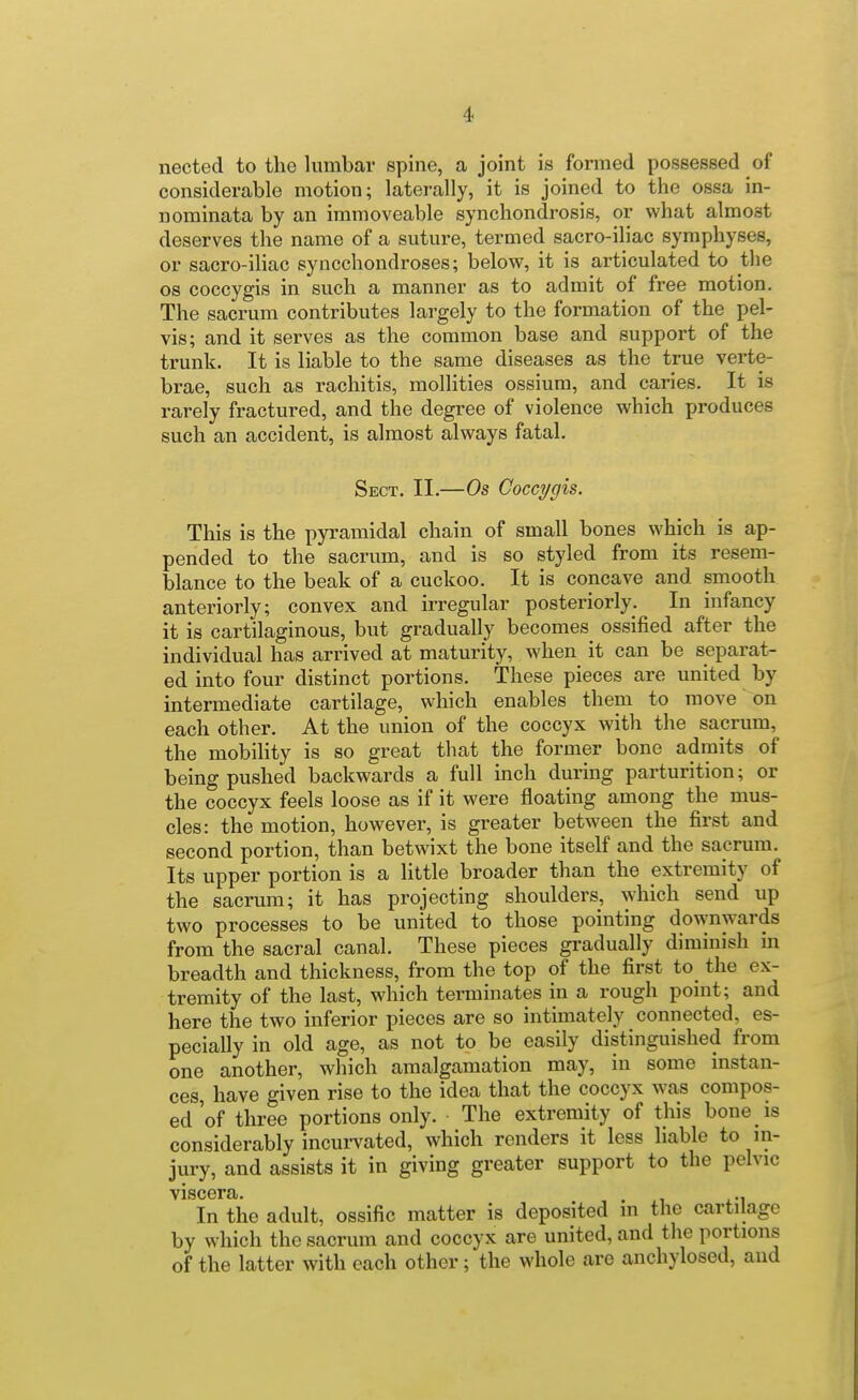 nected to the lumbar spine, a joint is formed possessed of considerable motion; laterally, it is joined to the ossa in- nominata by an immoveable synchondrosis, or what almost deserves the name of a sutm-e, termed sacro-iliac symphyses, or sacro-ihac syncchondroses; below, it is articulated to the OS coccygis in such a manner as to admit of free motion. The sacrum contributes largely to the formation of the pel- vis; and it serves as the common base and support of the trunk. It is liable to the same diseases as the true verte- brae, such as rachitis, mollities ossiura, and caries. It is rarely fractured, and the degree of violence which produces such an accident, is almost always fatal. Sect. II.—Os Coccygis. This is the pyramidal chain of small bones which is ap- pended to the sacrum, and is so styled from its resem- blance to the beak of a cuckoo. It is concave and smooth anteriorly; convex and irregular posteriorly. In infancy it is cartilaginous, but gradually becomes ossified after the individual has arrived at maturity, when it can be separat- ed into four distinct portions. These pieces are united by intermediate cartilage, which enables them to move on each other. At the union of the coccyx with the sacrum, the mobility is so great that the former bone admits of being pushed backwards a full inch during parturition; or the coccyx feels loose as if it were floating among the mus- cles: the motion, however, is greater between the first and second portion, than betwixt the bone itself and the sacrum. Its upper portion is a little broader than the extremity of the sacrum; it has projecting shoulders, w^hich send up two processes to be united to those pointing downwards from the sacral canal. These pieces gradually diminish in breadth and thickness, from the top of the first to the ex- tremity of the last, which terminates in a rough point; and here the two inferior pieces are so intimately connected, es- pecially in old age, as not to be easily distinguished from one another, which amalgamation may, in some instan- ces, have given rise to the idea that the coccyx was compos- ed'of three portions only. The extremity of this bone is considerably incurvated, which renders it less liable to in- jury, and assists it in giving greater support to the pelvic viscera. . ., In the adult, ossific matter is deposited m the cartilage by which the sacrum and coccyx are united, and the portions of the latter with each other; the whole are anchylosed, and