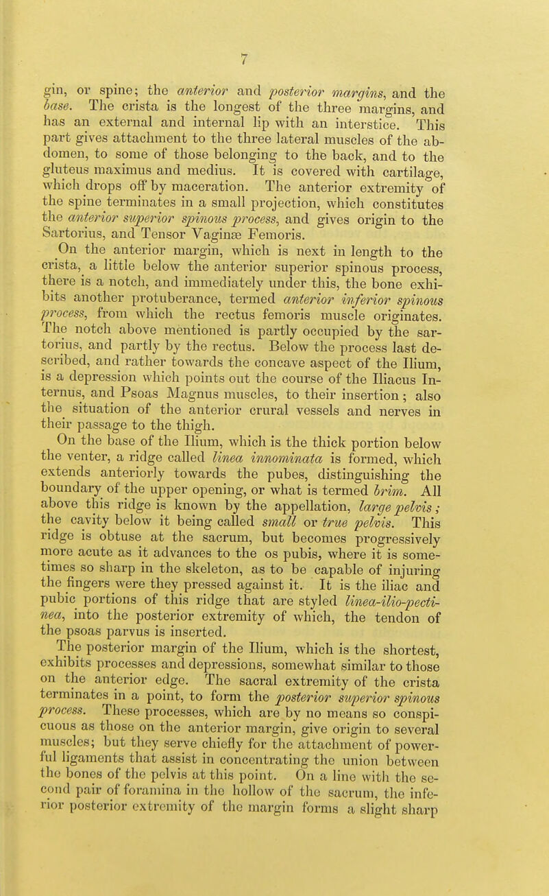 gin, or spine; the anterior and posterior margins, and the base. The crista is the longest of the three margins, and has an external and internal lip with an interstice. This part gives attachment to the three lateral muscles of the ab- domen, to some of those belonging to the back, and to the gluteus maximus and medius. It is covered with cartilage, which drops off by maceration. The anterior extremity of the spine terminates in a small projection, which constitutes the anterior superior spinous process, and gives origin to the Sartorius, and Tensor Vaginae Femoris. On the anterior margin, which is next in length to the crista, a little below the anterior superior spinous process, there is a notch, and immediately under this, the bone exhi- bits another protuberance, termed anterior inferior spinous process, from which the rectus femoris muscle originates. The notch above mentioned is partly occupied by the sar- torius, and partly by the rectus. Below the process last de- scribed, and rather towards the concave aspect of the Ihum, is a depression which points out the course of the Iliacus In- ternus, and Psoas Magnus muscles, to their insertion; also the situation of the anterior crural vessels and nerves in their passage to the thigh. On the base of the Ilium, which is the thick portion below the venter, a ridge called linea innominata is formed, which extends anteriorly towards the pubes, distinguishing the boundary of the upper opening, or what is termed Irim. All above this ridge is known by the appellation, large pelvis; the cavity below it being called small or true pelvis. This ridge is obtuse at the sacrum, but becomes progressively more acute as it advances to the os pubis, where it is some- times so sharp in the skeleton, as to be capable of injuring the fingers were they pressed against it. It is the iliac and pubic portions of this ridge that are styled linea-ilio-pecti- nea, into the posterior extremity of which, the tendon of the psoas parvus is inserted. The posterior margin of the Ilium, which is the shortest, exhibits processes and depressions, somewhat similar to those on the anterior edge. The sacral extremity of the crista termmates in a point, to form the posterior superior spinous process. These processes, which are by no means so conspi- cuous as those on the anterior margin, give origin to several muscles; but they serve chiefly for the attachment of power- ful ligaments that assist in concentrating the union between the bones of the pelvis at this point. On a line with the se- cond pair of foramina in the hollow of the sacrum, the infe- rior posterior extremity of the margin forms a slight sharp