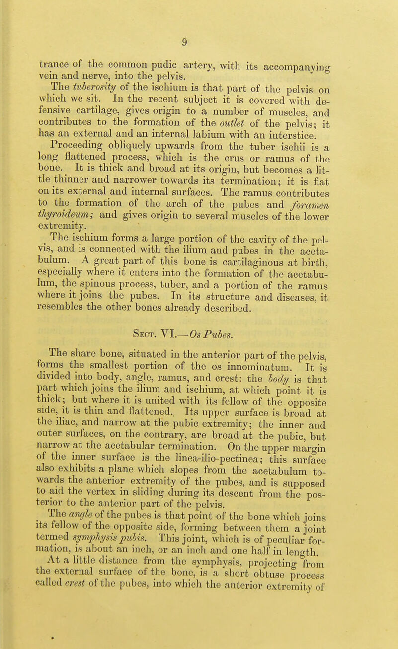 trance of the common pudic artery, with its accompanying vein and nerve, into the pelvis. The tuberosity of the ischium is that part of the pelvis on which we sit. In the recent subject it is covered with de- fensive cartilage, gives origin to a number of muscles, and contributes to the formation of the outlet of the pelvis; it has an external and an internal labium with an interstice. Proceeding obliquely upwards from the tuber ischii is a long flattened process, which is the crus or ramus of the bone. It is thick and broad at its origin, but becomes a lit- tle thinner and narrower towards its termination; it is flat on its external and internal surfaces. The ramus contributes to the formation of the arch of the pubes and foramen iliyroideum; and gives origin to several muscles of the lower extremity. ^ The ischium forms a large portion of the cavity of the pel- vis, and is connected with the ilium and pubes in the aceta- bulum. A great part of this bone is cartilaginous at birth, especially where it enters into the formation of the acetabu- lum, the spinous process, tuber, and a portion of the ramus where it joins the pubes. In its structure and diseases, it resembles the other bones already described. Sect. VI.—Os Pubes. The share bone, situated in the anterior part of the pelvis, forms the smallest portion of the os innominatum. It is divided into body, angle, ramus, and crest: the body is that part which joins the ilium and ischium, at which point it is thick; but where it is united with its fellow of the opposite side, it is thin and flattened.. Its upper surface is broad at the iliac, and narrow at the pubic extremity; the inner and outer surfaces, on the contrary, are broad at the pubic, but narrow at the acetabular termination. On the upper margin of the inner surface is the linea-ilio-pectinea; this surface also exhibits a plane which slopes from the acetabulum to- wards the anterior extremity of the pubes, and is supposed to aid the vertex in sliding during its descent from the pos- terior to the anterior part of the pelvis. The angle of the pubes is that point of the bone which joins its fellow of the opposite side, forming between them a joint termed symphysis pubis. This joint, Mdiich is of peculiar for- mation, is about an inch, or an inch and one half in length. At a little distance from the symphysis, projecting froin the external surface of the bone, is a short obtuse process called crest of the pubes, into which the anterior extremity of