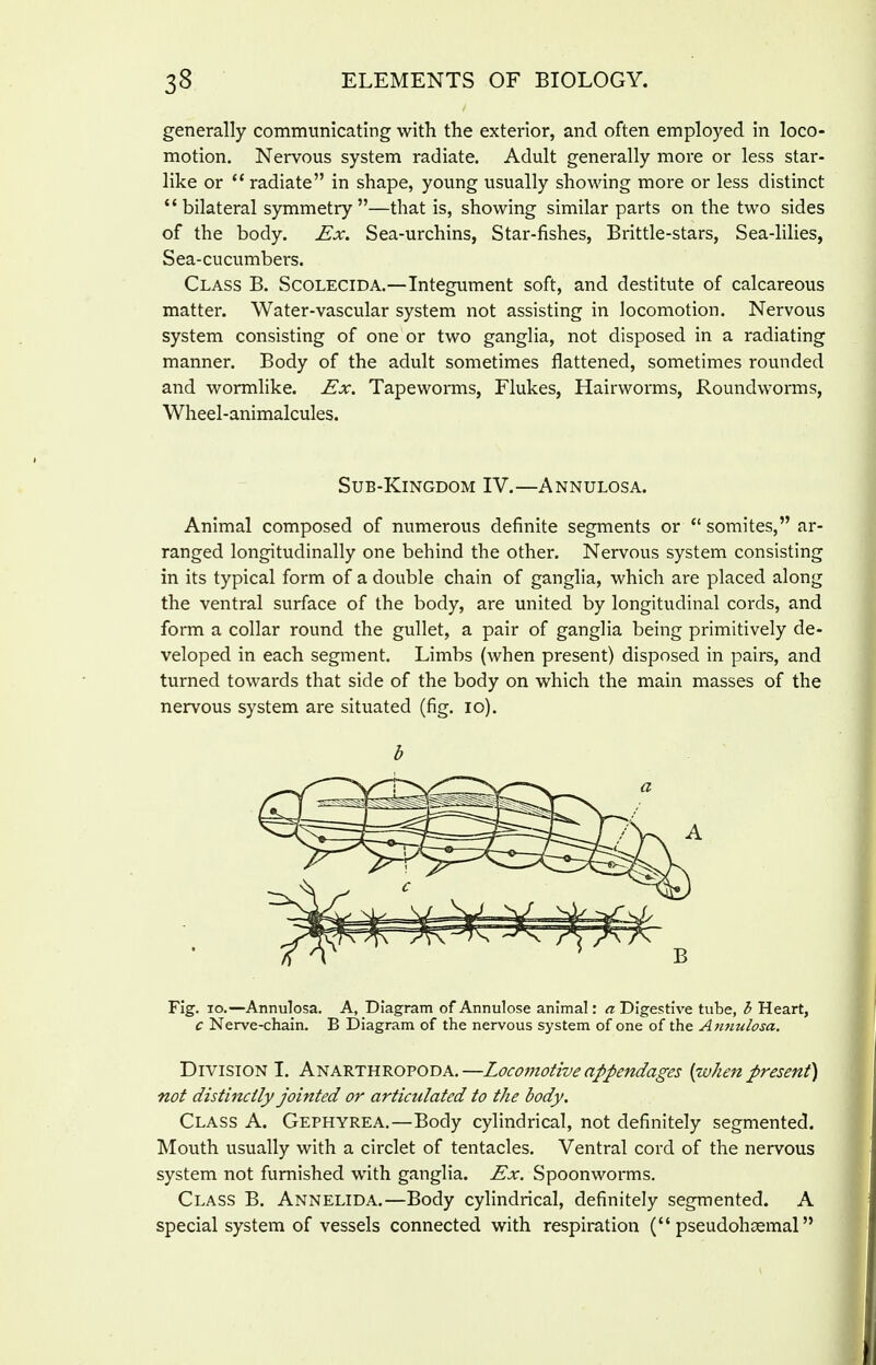 generally communicating with the exterior, and often employed in loco- motion. Nervous system radiate. Adult generally more or less star- like or radiate in shape, young usually showing more or less distinct ''bilateral symmetry—that is, showing similar parts on the two sides of the body. Ex. Sea-urchins, Star-fishes, Brittle-stars, Sea-lilies, Sea-cucumbers. Class B. Scolecida.—Integument soft, and destitute of calcareous matter. Water-vascular system not assisting in locomotion. Nervous system consisting of one or two ganglia, not disposed in a radiating manner. Body of the adult sometimes flattened, sometimes rounded and wormlike. Ex. Tapeworms, Flukes, Hairworms, Roundworms, Wheel-animalcules. Sub-Kingdom IV.—Annulosa. Animal composed of numerous definite segments or  somites, ar- ranged longitudinally one behind the other. Nervous system consisting in its typical form of a double chain of ganglia, which are placed along the ventral surface of the body, are united by longitudinal cords, and form a collar round the gullet, a pair of ganglia being primitively de- veloped in each segment. Limbs (when present) disposed in pairs, and turned towards that side of the body on which the main masses of the nervous system are situated (fig. lo). b Fig. lo.—Annulosa. A, Diagram of Annulose animal: a Digestive tube, I Heart, c Nerve-chain. B Diagram of the nervous system of one of the A^mtilosa. Division I. Anarthropoda. —Locomotive appendages [when present) not distinctly jointed or articulated to the body. Class A. Gephyrea.—Body cylindrical, not definitely segmented. Mouth usually with a circlet of tentacles. Ventral cord of the nervous system not furnished with ganglia. Ex. Spoonworms. Class B. Annelida.—Body cylindrical, definitely segmented. A special system of vessels connected with respiration ( pseudohsemal