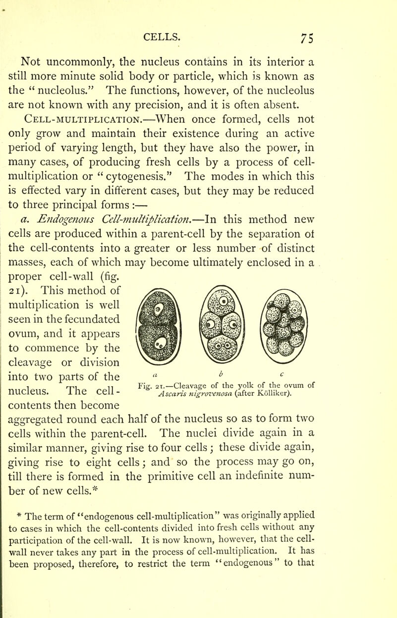 Not uncommonly, the nucleus contains in its interior a still more minute solid body or particle, which is known as the  nucleolus. The functions, however, of the nucleolus are not known with any precision, and it is often absent. Cell-multiplication.—When once formed, cells not only grow and maintain their existence during an active period of varying length, but they have also the power, in many cases, of producing fresh cells by a process of cell- multiplication or  cytogenesis. The modes in which this is effected vary in different cases, but they may be reduced to three principal forms :— a. Endogenous Cell-multiplication.—In this method new cells are produced within a parent-cell by the separation of the cell-contents into a greater or less number of distinct masses, each of which may become ultimately enclosed in a proper cell-wall (fig. 2i), This method of multiplication is well seen in the fecundated ovum, and it appears to commence by the cleavage or division into two parts of the ate 1 rr-.! n Fig. 2T.—Cleavage of the yolk of the ovum of nucleus. ihe cell- Ascaris nigroveiwsa {^.i^^x YJAXiVitr). contents then become aggregated round each half of the nucleus so as to form two cells within the parent-cell. The nuclei divide again in a similar manner, giving rise to four cells ; these divide again, giving rise to eight cells; and so the process may go on, till there is formed in the primitive cell an indefinite num- ber of new cells.''^ * The term of endogenous cell-multiplication was originally applied to cases in which the cell-contents divided into fresh cells without any participation of the cell-wall. It is now known, however, that the cell- wall never takes any part in the process of cell-multiplication. It has been proposed, therefore, to restrict the term endogenous to that