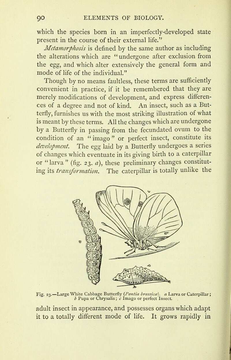 which the species born in an imperfectly-developed state present in the course of their external life. Metamorphosis is defined by the same author as including the alterations which are undergone after exclusion from the egg, and which alter extensively the general form and mode of life of the individual. Though by no means faultless, these terms are sufficiently convenient in practice, if it be remembered that they are merely modifications of development, and express differen- ces of a degree and not of kind. An insect, such as a But- terfly, furnishes us with the most striking illustration of what is meant by these terms. All the changes which are undergone by a Butterfly in passing from the fecundated ovum to the condition of an imago or perfect insect, constitute its development. The egg laid by a Butterfly undergoes a series of changes which eventuate in its giving birth to a caterpillar or larva (fig. 23. a), these preHminary changes constitut- ing its transformation. The caterpillar is totally unlike the Fig. 23.—Large White Cabbage Butterfly {Poiitia brassicce). a Larva or Caterpillar; b Pupa or Chrysalis; c Imago or perfect Insect. adult insect in appearance, and possesses organs which adapt it to a totally different mode of life. It grows rapidly in