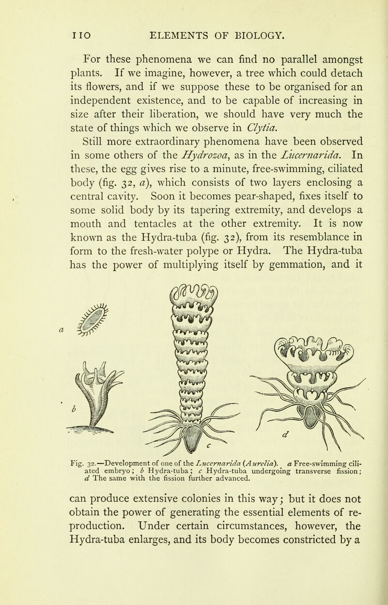 For these phenomena we can find no parallel amongst plants. If we imagine, however, a tree which could detach its flowers, and if we suppose these to be organised for an independent existence, and to be capable of increasing in size after their liberation, we should have very much the state of things which we observe in Clytia. Still more extraordinary phenomena have been observed in some others of the Hydrozoa, as in the Lucernarida. In these, the egg gives rise to a minute, free-swimming, ciliated body (fig. 32, a), which consists of two layers enclosing a central cavity. Soon it becomes pear-shaped, fixes itself to some solid body by its tapering extremity, and develops a mouth and tentacles at the other extremity. It is now known as the Hydra-tuba (fig. 32), from its resemblance in form to the fresh-water polype or Hydra. The Hydra-tuba has the power of multiplying itself by gemmation, and it Fig. 32.—Development of one of the Lucernarida {Aurelid). a Free-swimming cili- ated embryo; b Hydra-tuba; c Hydra-tuba undergoing transverse fission; d The same with the fission further advanced. can produce extensive colonies in this way; but it does not obtain the power of generating the essential elements of re- production. Under certain circumstances, however, the Hydra-tuba enlarges, and its body becomes constricted by a
