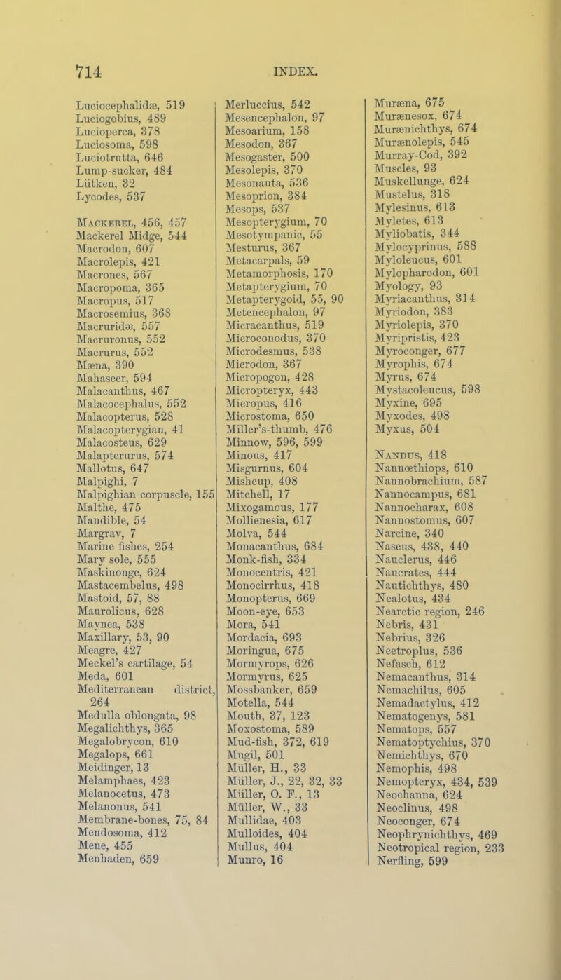 Luciocephalidfe, 519 Luciogobius, 489 Lucioperca, 378 Luciosoma, 598 Luciotrutta, 646 Lump-sucker, 484 Llitken, 32 Lycodes, 537 Mackerel, 456, 457 Mackerel Midge, 544 Macrodon, 607 Macrolepis, 421 Macrones, 567 Macropoma, 365 Macropus, 517 Macrosemius, 368 Maeruridae, 557 Macruronus, 552 Macrurus, 552 Moeua, 390 Mahaseer, 594 Malacautlius, 467 Malacoceplialus, 552 Malacopterus, 528 Malacopterygiau, 41 Malacosteus, 629 Malapterurus, 574 Mallotus, 647 Malpighi, 7 Malpighian corpuscle, 155 Malthe, 475 Mandible, 54 Margrav, 7 Marine fishes, 254 Mary sole, 555 Maskinonge, 624 Mastacembelus, 498 Mastoid, 57, 88 Maurolicus, 628 Maynea, 538 Maxillary, 53, 90 Meagre, 427 Meckel’s cartilage, 54 Meda, 601 Mediterranean district, 264 Medulla oblongata, 98 Megalichthys, 365 Megalobrycon, 610 Megalops, 661 Meidinger, 13 Melamphaes, 423 Melanocetus, 473 Melanonus, 541 Membrane-bones, 75, 84 Mendosoma, 412 Mene, 455 Menhaden, 659 Merluceius, 542 Mesencephalon, 97 Mesoarium, 158 Mesodon, 367 Mesogaster, 500 Mesolepis, 370 Mesonauta, 536 Mesoprion, 384 Mesops, 537 Mesopterygium, 70 Mesotympanic, 55 Mesturus, 367 Metacarpals, 59 Metamorphosis, 170 Metapterygium, 70 Metapterygoid, 55, 90 Meteucephalon, 97 Micracanthus, 519 Microconodus, 370 Microdesmus, 538 Microdon, 367 Micropogon, 428 Micropteryx, 443 Micropus, 416 Microstoma, 650 Miller’s-thumb, 476 Minnow, 596, 599 Minous, 417 Misgurnus, 604 Mishcup, 408 Mitchell, 17 Mixogamous, 177 Mollienesia, 617 Molva, 544 Monacanthus, 684 Monk-fish, 334 Monocentris, 421 Monocirrhus, 418 Monopterus, 669 Moon-eye, 653 Mora, 541 Mordacia, 693 Moringua, 675 Mormyrops, 626 Mormyrus, 625 Mossbanker, 659 Motella, 544 Mouth, 37, 123 Moxostoma, 589 Mud-fish, 372, 619 Mugil, 501 Muller, H., 33 Miiller, J., 22, 32, 33 Muller, O. F., 13 Muller, W., 33 Mullidae, 403 Mulloides, 404 Mull us, 404 Munro, 16 Mursena, 675 Murajnesox, 674 Mursenichthys, 674 Muraenolepis, 545 Murray-Cod, 392 Muscles, 93 Muskellunge, 624 Mustelus, 318 Mylesinus, 613 Myletes, 613 Myliobatis, 344 Mylocyprinus, 588 Myloleucus, 601 Mylopharodon, 601 Myology, 93 Myriaeanthus, 314 Myriodon, 383 Myriolepis, 370 Myripristis, 423 Myroconger, 677 Myrophis, 674 Myrus, 674 Mystacoleucus, 598 Myxine, 695 Myxodes, 498 Myxus, 504 Nandus, 418 Nanncethiops, 610 Nannobracliium, 587 Nannocampus, 681 Nannocliarax, 608 Nannostomus, 607 Narcine, 340 Naseus, 438, 440 Nauclerus, 446 Naucrates, 444 Nautichthys, 480 Nealotus, 434 Nearctic region, 246 Nebris, 431 Nebrius, 326 Neetroplus, 536 Nefaseh, 612 Nemacanthus, 314 Nemacliilus, 605 Nemadac-tylus, 412 Nematogenys, 581 Nematops, 557 Nematoptycliius, 370 Nemichthys, 670 Nemopliis, 498 Nemopteryx, 434, 539 Neochanna, 624 Neoclinus, 498 Neoconger, 674 Neophryniclithys, 469 Neotropical region, 233 Nerfling, 599