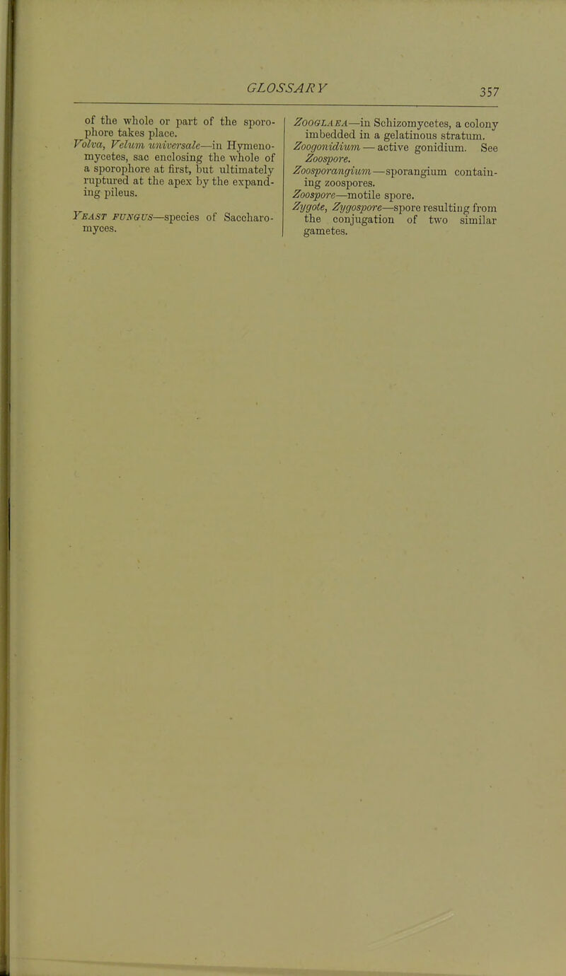 of tlie whole or part of the sporo- phore takes place. Volva, Velum universale—in Hymeno- mycetes, sac enclosing the whole of a sporophore at first, but ultimately ruptured at the apex by the expand- ing pileus. Veast FUN&us—S]pecies of Saccharo- niyces. ZooGLAEA—in Schizomycetes, a colony imbedded in a gelatinous stratimi. Zoogonidium — active gonidium. See Zoospore. Zoosporangium—sporangium contain- ing zoospores. Zoospore—motile spore. Zygote, Zygospore—spore resulting from the conjugation of two similar gametes.