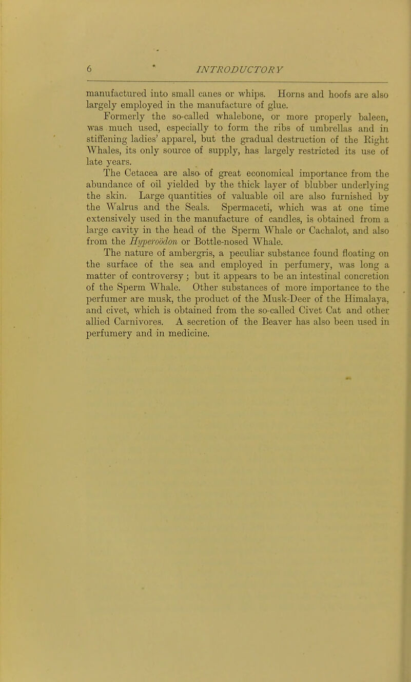 manufactured into small canes or whips. Horns and hoofs are also largely employed in the manufacture of glue. Formerly the so-called whalebone, or more properly baleen, was much used, especially to form the ribs of umbrellas and in stiffening ladies' apparel, but the gi'adual destruction of the Right Whales, its only source of supply, has largely restricted its use of late years. The Cetacea are also of great economical importance from the abundance of oil yielded by the thick layer of blubber underlying the skin. Large quantities of valuable oil are also furnished by the Walrus and the Seals. Spermaceti, which was at one time extensively used in the manufacture of candles, is obtained from a large cavity in the head of the Sperm Whale or Cachalot, and also from the Hyperoddon or Bottle-nosed Whale. The nature of ambergris, a peculiar substance found floating on the surface of the sea and employed in perfumery, was long a matter of controversy; but it appears to be an intestinal concretion of the Sperm Whale. Other substances of more importance to the perfumer are musk, the product of the Musk-Deer of the Himalaya, and civet, which is obtained from the so-called Civet Cat and other allied Carnivores. A secretion of the Beaver has also been used in perfumery and in medicine.