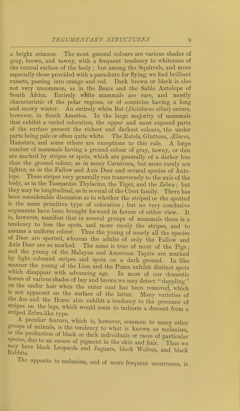 a bright crimson. The most general colours are various shades of gray, brown, and tawny, with a frequent tendency to whiteness of the ventral surface of the body; but among the Squirrels, and more especially those proAdded with a parachute for flying, we find brilliant russets, passing into orange and red. Dark brown or black is also not very uncommon, as in the Bears and the Sable Antelope of South Africa. Entirely white mammals are rare, and mostly characteristic of the polar regions, or of countries having a long and snoAvy -winter. An entirely white Bat (Dididtmis alhus) occurs, however, in South America. In the large majority of mammals that exhibit a varied coloration, the upper and most exposed parts of the surface present the richest and darkest colours, the under parts being pale or often quite white. The Eatels, Gluttons, jElurus, Hamsters, and some others are exceptions to this rule. A large number of mammals having a ground colour of gray, tawny, or dun are marked by stripes or spots, which are generally of a darker hue than the ground colour, as in many Carnivora, but more rarely are lighter, as in the Fallow and Axis Deer and several species of Ante- lope. These stripes very generally run transversely to the axis of the body, as in the Tasmanian Thylacine, the Tiger, and the Zebra; but they may be longitudinal, as in several of the Civet family. There has been considerable discussion as to whether the striped or the spotted is the more primitive type of coloration; but no very conclusive arguments have been brought forward in favour of either view. It is, however, manifest that in several groups of mammals there is a tendency to lose the spots, and more rarely the stripes, and to assume a uniform colour. Thus the young of nearly all the species of Deer are spotted, whereas the adults of only the Fallow and Axis Deer are so marked. The same is true of most of the Pigs; and the young of the Malayan and American Tapirs are marked by hght-coloured stripes and spots on a dark ground. In like manner the young of the Lion and the Puma exhibit distinct spots which disappear with advancing age. In most of our domestic horses of various shades of bay and brown we may detect  dappling  on the under hair when the outer coat has been removed, which is not apparent on the surface of the latter. Ma,ny varieties of the Ass and the Horse also exhibit a tendency to the presence of stripes on the legs, which would seem to indicate a descent from a striped Zebra-like type. A peculiar feature, which is, however, common to many other groups of animals, is the tendency to what is known as melanism or the production of black or dark individuals or races of particular &pecies, due to an excess of pigment in the skin and hair. Thus we may have black Leopards and Jaguars, black Wolves, and black The opposite to melanism, and of more frequent occurrence, IS