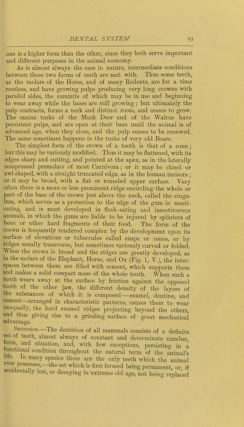 one is a higher form than the other, since they both serve important and different purposes in the animal economy. As is almost always the case in nature, intermediate conditions between these two forms of teeth are met with. Thus some teeth, as the molars of the Horse, and of many Eodents, are for a time rootless, and have gi-owing pulps producing very long crowns with parallel sides, the summits of which may be in use and beginning to wear away while the bases are still growing; but ultimately the piilp contracts, forms a neck and distinct roots, and ceases to grow. The canine tusks of the Musk Deer and of the Walrus have persistent pulps, and are open at their base until the animal is of advanced age, when they close, and the pulp ceases to be renewed. The same sometimes happens in the tusks of very old Boars. The simplest form of the crown of a tooth is that of a cone; but this may be variously modified. Thus it may be flattened, with its edges sharp and cutting, and pointed at the apex, as in the laterally compressed premolars of most Carnivora; or it may be chisel- or awl-shaped, with a straight truncated edge, as in the human incisors ; or it may be broad, with a flat or rounded upper surface. Very often there is a more or less prominent ridge encircling the whole or part of the base of the crown just above the neck, called the cingu- lum, which serves as a protection to the edge of the gum in masti- cating, and is most developed in flesh-eating and insectivorous animals, in which the gums are liable to be injured by splinters of bone or other hard fragments of their food. The form of the crown is frequently rendered complex by the development upon its surface of elevations or tubercules called cusps or cones, or by ridges usually transverse, but sometimes variously curved or folded. When the crown is broad and the ridges are greatly developed, as in the molars of the Elephant, Horse, and Ox (Fig. 1, V.), the inter- spaces between them are filled with cement, which supports them and makes a solid compact mass of the whole tooth. When such a tooth wears away at the surface by friction against the opposed tooth of the other jaw, the difierent density of the layers of the substances of which it is composed—enamel, dentine, and cementr—arranged in characteristic patterns, causes them to wear unequally, the hard enamel ridges projecting beyond the others, and thus giving rise to a grinding surface of great mechanical advantage. Succession.—ThQ dentition of all mammals consists of a definite set of teeth, almost always of constant and determinate number, form, and situation, and, with few exceptions, persisting in a Junctional condition throughout the natural term of the animal's ute. In many species these are the only teeth which the animal ever possesses,-the set which is first formed being permanent, or, if accidentally lost, or decaying in extreme old age, not being replaced
