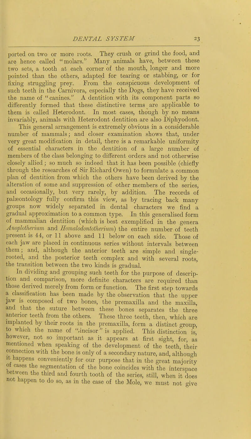 ported on two or more roots. They crush or grind the food, and are hence called molars. Many animals have, between these two sets, a tooth at each corner of the mouth, longer and more pointed than the others, adapted for tearing or stabbing, or for fixing struggling prey. From the conspicuous development of such teeth in the Carnivora, especially the Dogs, they have received the name of  canines. A dentition with its component parts so differently formed that these distinctive terms are applicable to them is called Heterodont. In most cases, though by no means invariably, animals with Heterodont dentition are also Diphyodont. This general arrangement is extremely obvious in a considerable number of mammals; and closer examination shows that, under very great modification in detail, there is a remarkable uniformity of essential characters in the dentition of a large number of members of the class belonging to different orders and not otherwise closely allied; so much so indeed that it has been possible (chiefly through the researches of Sir Eichard Owen) to formulate a common plan of dentition from which the others have been derived by the alteration of some and suppression of other members of the series, and occasionally, but very rarely, by addition. The records of palaeontology fully confirm this view, as by tracing back many gi'oups now widely separated in dental characters we find a gradual approximation to a common type. In this generalised form of mammalian dentition (which is best exemplified in the genera Anoploiherium and Homalodontotherium) the entire number of teeth present is 44, or 11 above and 11 below on each side. Those of each jaw are placed in continuous series without intervals between them; and, although the anterior teeth are simple and single- rooted, and the posterior teeth complex and with several roots, the transition between the two kinds is gradual. In dividing and grouping such teeth for the purpose of descrip- tion and comparison, more definite characters are required than those derived merely from form or function. The first step towards a classification has been made by the observation that the upper jaw is composed of two bones, the premaxilla and the maxilla, and that the suture between these bones separates the three anterior teeth from the others. These three teeth, then, which are implanted by their roots in the premaxilla, form a distinct group, to which the name of .incisor is applied. This distinction is, however, not so important as it appears at first sight, for, as mentioned when speaking of the development of the teeth, their connection with the bone is only of a secondary nature, and, although It happens conveniently for our purpose that in the great majority of cases the segmentation of the bone coincides with the interspace between the third and fourth tooth of the series, still, when it does not happen to do so, as in the case of the Mole, we must not ^ive