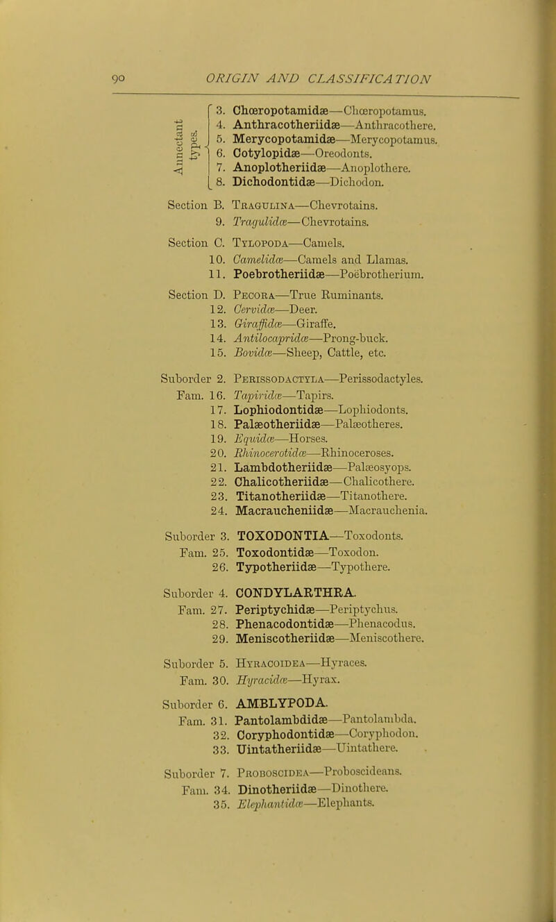 ' 3. Ohoeropotamidae—Chceropotamus. 4. Anthracotheriidae—Anthracothere. 5. Merycopotamidae—Merycopotamus. 6. Cotylopidse—Oreodonts. 7. Anoplotheriidae—Anoplothere. 8. Dichodontidse—Dicliodon. Section B. Tragulina—Chevrotains. 9. Tragulidce—Clievrotains. Section C. Tylopoda—Camels. 10. Camelidce—Camels and Llamas. 11. Poebrotheriidae—Poebrotlierium. Section D. Pecora—True Ruminants. 12. Cervidce—Deer. 13. Giraffidce—Giraffe, 14. Antilocapridce—Prong-buck. 15. Bovidce—Slieep, Cattle, etc. Suborder 2. Perissodactyla—Perissodactyles. Fam. 16. Tapiridce—Tapirs. 17. Lophiodontidae—Lopliiodonts. 18. Palaeotheriidae—Palseotheres. 19. Equidce—Horses. 2 0. Rhinocerotidce—Rhinoceroses. 21. Lambdotheriidae—Palteosyops. 22. Cbalicotheriidae—Chalicothere. 23. Titanotheriidae—Titanotbere. 2 4. Macraucheniidae—Macrauclienia. Suborder 3. TOXODONTIA—Toxodonts. Fam. 25. Toxodontidae—Toxodon. 26. Tsrpotlieriidae—Typothere. Suborder 4. CONDYLARTHRA. Fam. 27. Periptychidae—Periptycbus. 2 8. Phenacodontidae—Phenacodus. 29. Meniscotheriidae—Meniscothere. Suborder 5. Hybacoidea—Hyraces. Fam. 30. Htjracidm—Hyrax. Suborder 6. AMBLYPODA. Fam. 31. Pantolambdidae—Pantolambda. 32. Coryphodontidae—Corypbodon. 33. Uintatheriidae—Uintathere. Suborder 7. Proboscidea—Proboscideans. Fam. 34. Dinotheriidae—Dinotliere. 35. Elephantidce—Elephants.