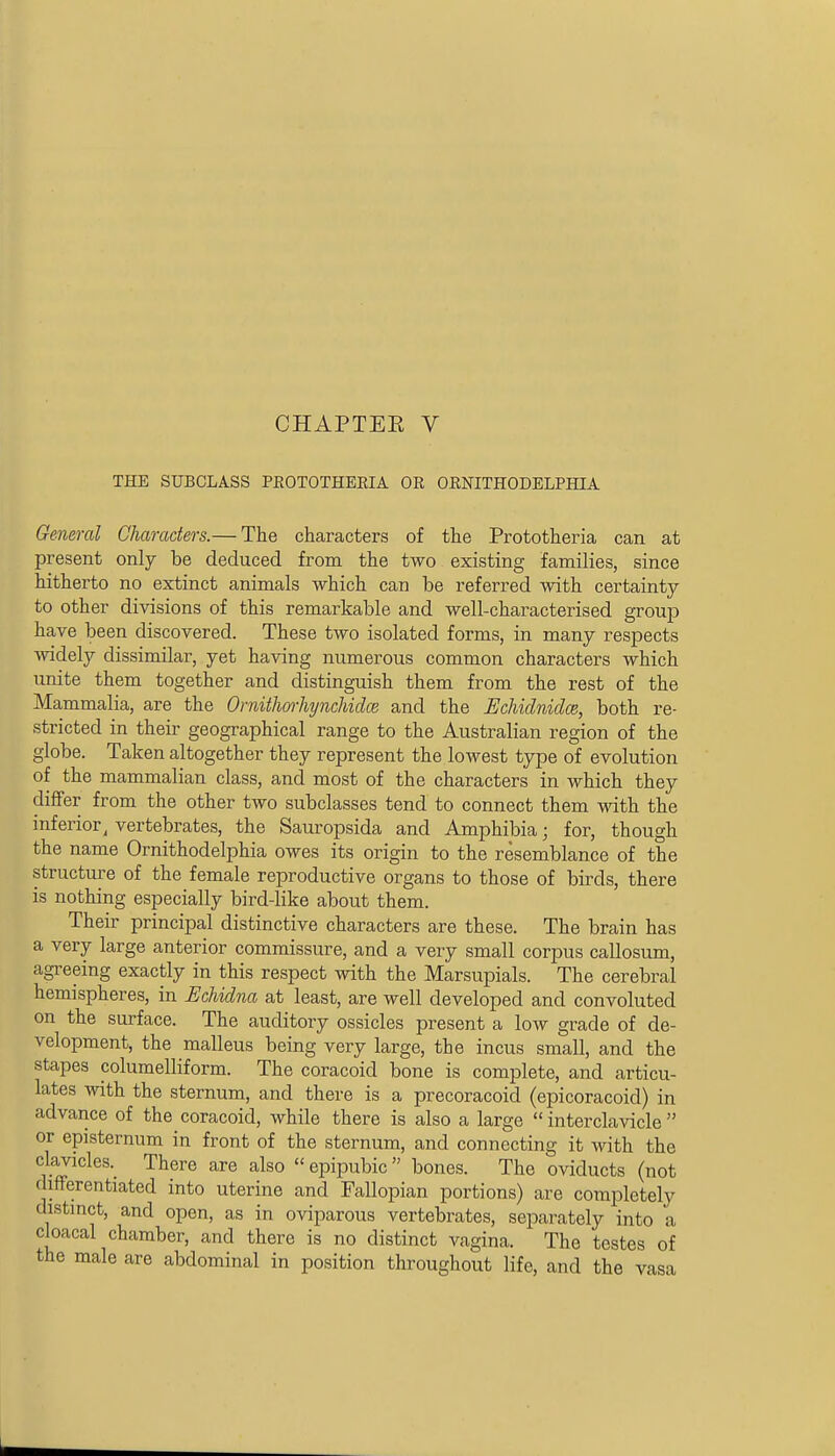 CHAPTEE V THE SUBCLASS PEOTOTHEEIA OR ORNITHODELPHIA General Characters.— The characters of the Prototheria can at present only be deduced from the two existing families, since hitherto no extinct animals which can be referred with certainty to other divisions of this remarkable and well-characterised group have been discovered. These two isolated forms, in many respects ■widely dissimilar, yet having numerous common characters which unite them together and distinguish them from the rest of the Mammalia, are the Ornithorhynchiclce and the Echiclniclce, both re- stricted in their geographical range to the Australian region of the globe. Taken altogether they represent the lowest type of evolution of the mammalian class, and most of the characters in which they differ from the other two subclasses tend to connect them Math the inferior^ vertebrates, the Sauropsida and Amphibia; for, though the name Ornithodelphia owes its origin to the resemblance of the structure of the female reproductive organs to those of birds, there is nothing especially bird-like about them. Their principal distinctive characters are these. The brain has a very large anterior commissure, and a very small corpus callosum, agreeing exactly in this respect with the Marsupials. The cerebral hemispheres, in Echidna at least, are well developed and convoluted on the surface. The auditory ossicles present a low grade of de- velopment, the malleus being very large, the incus small, and the stapes columelliform. The coracoid bone is complete, and articu- lates with the sternum, and there is a precoracoid (epicoracoid) in advance of the coracoid, while there is also a large  interclavicle  or episternum in front of the sternum, and connecting it with the cWles. There are also  epipubic  bones. The oviducts (not differentiated into uterine and Fallopian portions) are completely distinct, and open, as in oviparous vertebrates, separately into a cloacal chamber, and there is no distinct vagina. The testes of the male are abdominal in position throughout life, and the vasa