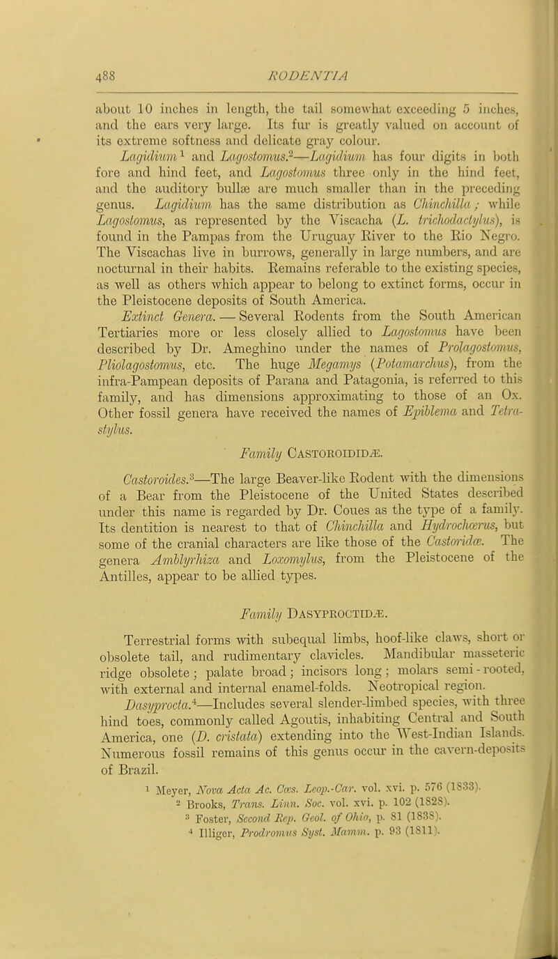 about 10 inches in length, the tail somewhat exceeding 5 inches, and the ears very large. Its fur is greatly valued on account of its extreme softness and delicate gray colour. Lagidium ^ and Larjodomus?—Lacjidium has four digits in Ijoth fore and hind feet, and Lagostomus three only in the hind feet, and the auditory bullae are much smaller than in the preceding genus. Lagidium has the same distribution as Chinchilla; whih Lagostomus, as represented by the Viscacha {L. trichodaclylus), is found in the Pampas from the Uruguay River to the Eio Negro. The Viscachas live in burrows, generally in large numbers, and are nocturnal in their habits. Remains referable to the existing species, as well as others which appear to belong to extinct forms, occur in the Pleistocene deposits of South America. Extinct Genera. — Several Rodents from the South American Tertiaries more or less closely allied to Lagostomus have been described by Dr. Ameghino under the names of Prolagostomus, Pliolagostomiis, etc. The huge Megamys (Potamarchus), from the infra-Pampean deposits of Parana and Patagonia, is referred to this family, and has dimensions approximating to those of an Ox. Other fossil genera have received the names of Ejnhlema and Tetra- stylus. Family CASTOROiDiDiE. Castoroides.^—The large Beaver-like Rodent ^nth the dimensions of a Bear from the Pleistocene of the United States described under this name is regarded by Dr. Coues as the type of a family. Its dentition is nearest to that of Chinchilla and HydrocliKrus, but some of the cranial characters are like those of the Castorida;. The genera Amllyrhiza and Loxomylus, from the Pleistocene of the Antilles, appear to be allied types. Family Dasyproctid.'E. Terrestrial forms with subequal limbs, hoof-like claws, short or obsolete tail, and rudimentary clavicles. Mandibular masseteric ridge obsolete; palate broad; incisors long; molars semi - rooted, with external and internal enamel-folds. Neotropical region. Dasyprocta.^—Includes several slender-limbed species, with three hind toes, commonly called Agoutis, inhabiting Central and South America, one {D. cristata) extending into the ^Yest-Indian Islands. Numerous fossil remains of this genus occur in the cavern-deposits of Brazil. 1 Meyer, A^ova Acta Ac. Cm. Lcop.-Car. vol. xvi. p. 576 (1S33). - Brooks, Tratis. Linn. Soc. vol. xvi. p. 102 (182S). Foster, Second Hep. Ocol. of Ohio, p. 81 (1838). •* Illiger, Prodromus Syst. Mamm. p. 93 (1811).