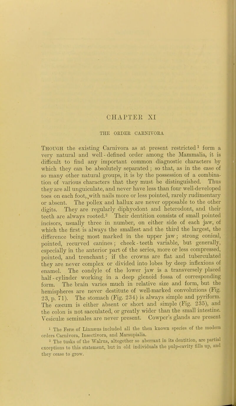 CHAPTEE XI THE ORDEE CAENIVOKA Though the existing Carnivora as at present restricted ^ form a very natural and well - defined order among the Mammalia, it is difficult to find any important common diagnostic characters by which they can be absolutely separated; so that, as in the case of so many other natural groups, it is by the possession of a combina- tion of various characters that they must he distinguished. Thus they are all unguiculate, and never have less than foui' well-developed toes on each foot, ,with nails more or less pointed, rarely rudimentary or absent. The pollex and hallux are never opposable to the other digits. They are reg-ularly diphyodont and heterodont, and theii' teeth are always rooted. ^ Their dentition consists of small pointed incisors, usually three in number, on either side of each jaw, of which the first is always the smallest and the third the largest, the difference being most marked in the upper jaw; strong conical, pointed, recurved canines; cheek-teeth variable, but generally, especially in the anterior part of the series, more or less compressed, pointed, and trenchant; if the crowns are flat and tuberculated they are never complex or divided into lobes by deep inflexions of enamel. The condyle of the lower jaw is a transversely placed half - cylinder working in a deep glenoid fossa of corresponding form. The brain varies much in relative size and form, but the hemispheres are never destitute of well-marked convolutions (Fig. 23, p. 71). The stomach (Fig. 234) is always simple and pp-iform. The csecum is either absent or short and simple (Fig. 235), and the colon is not sacculated, or greatly wider than the small intestine. Vesiculte seminales are never present. Cowpcr's glands are present 1 The Ferte of Liniiffius iucludecl all the then known species of the modern orders Carnivora, Insectivora, and Marsupialia. - The tusks of the AValrus, altogether so aberrant in its dentition, are partial exceptions to this statement, but in old individuals the pulp-cavity tills up, and they cease to grow.